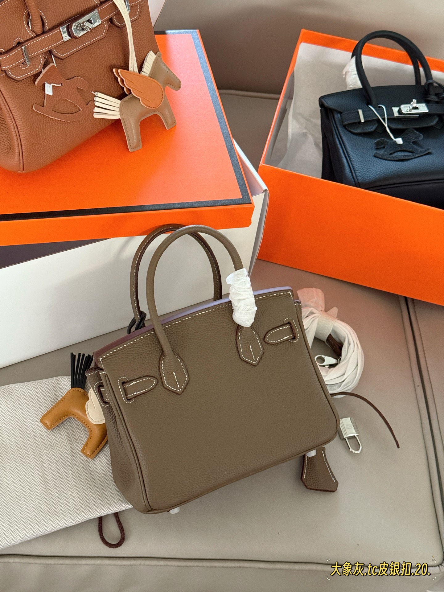 Elegante Bolso Birkin 20 en Cuero TC con Adorable Amuleto de Caballito Alado 10 i1748745630549 2575 0 8