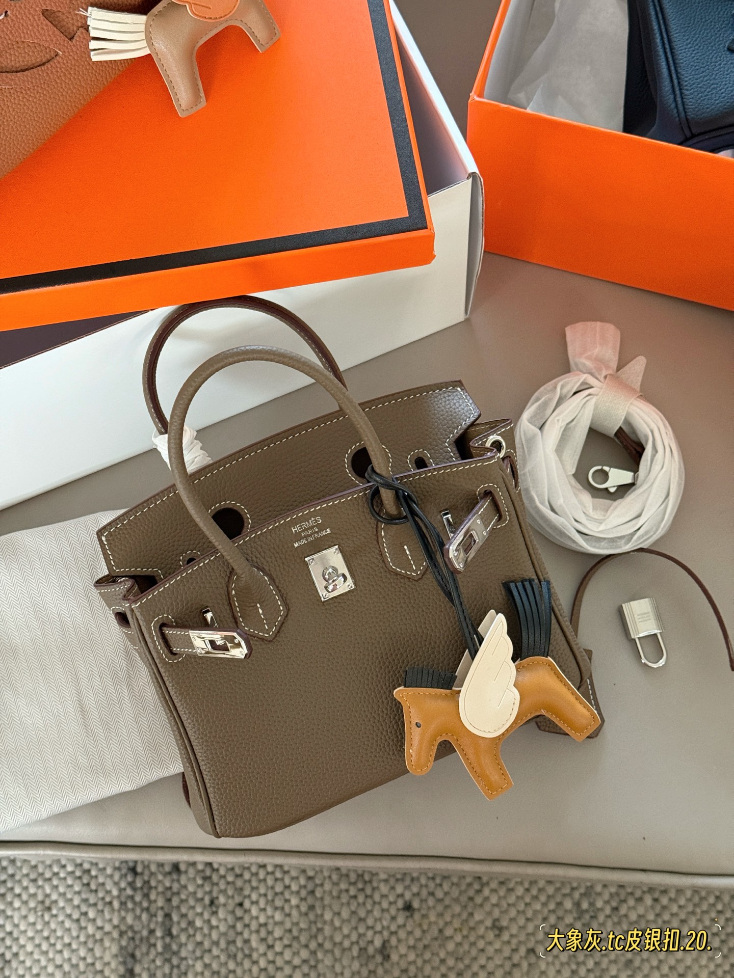 Elegante Bolso Birkin 20 en Cuero TC con Adorable Amuleto de Caballito Alado 4 i1748745630589 102 0 2