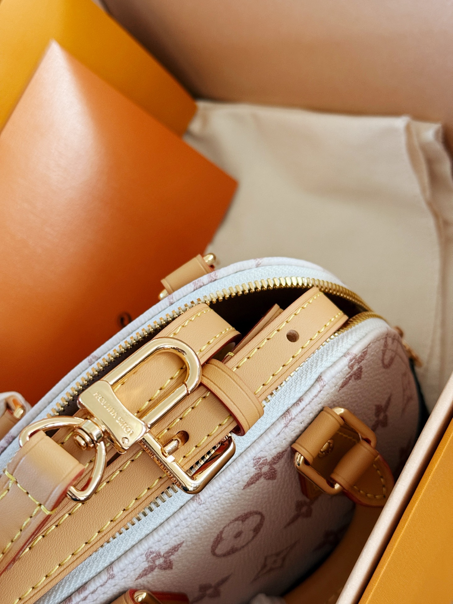 Louis Vuitton Nano Alma Bolso de Concha Monograma Dune, 20 cm 10 i1749881127191 3622 0 8