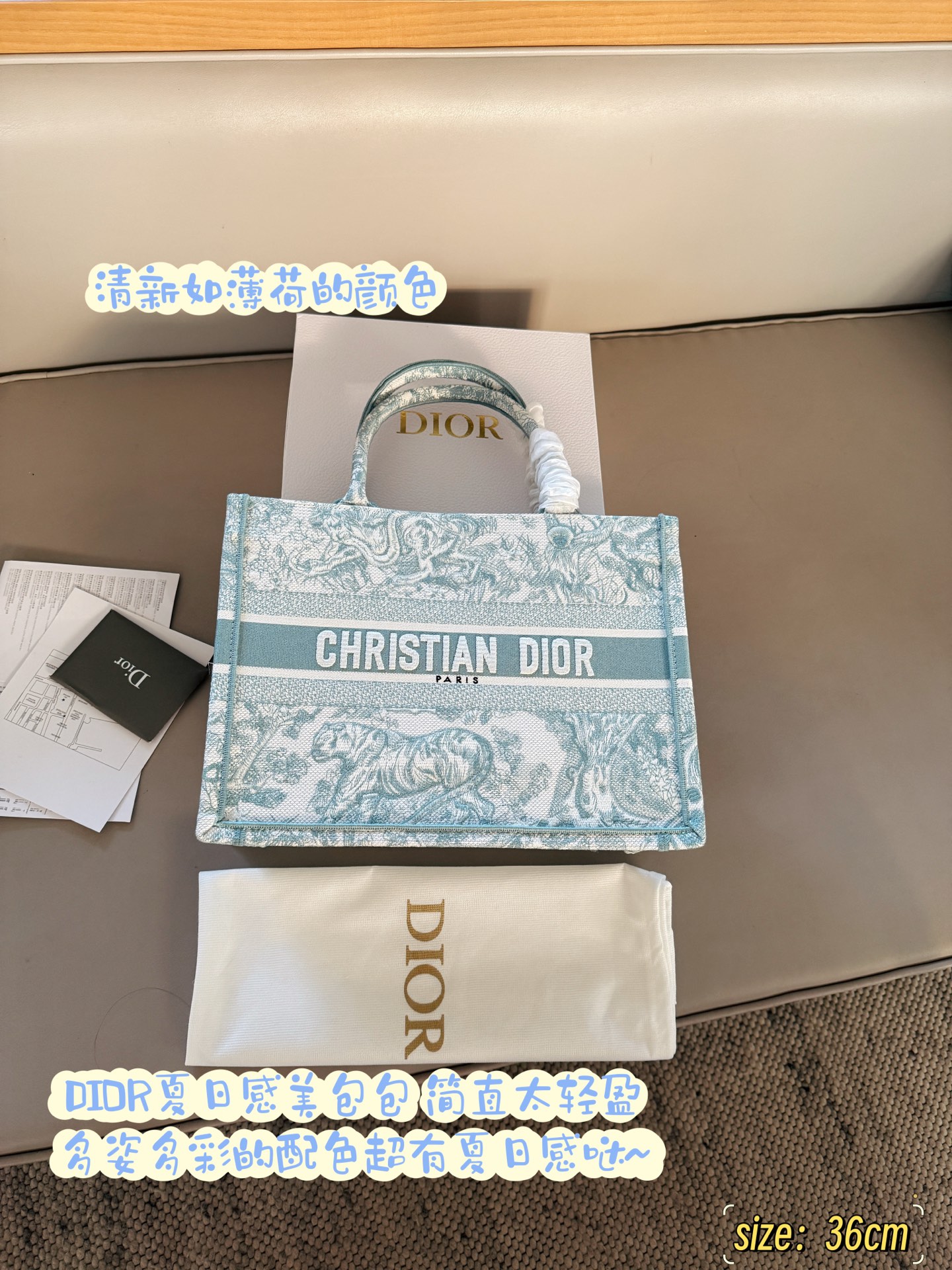 Dior Book Tote Bag, Spring Limited Edition, CDBooktote25 Shopping Bag