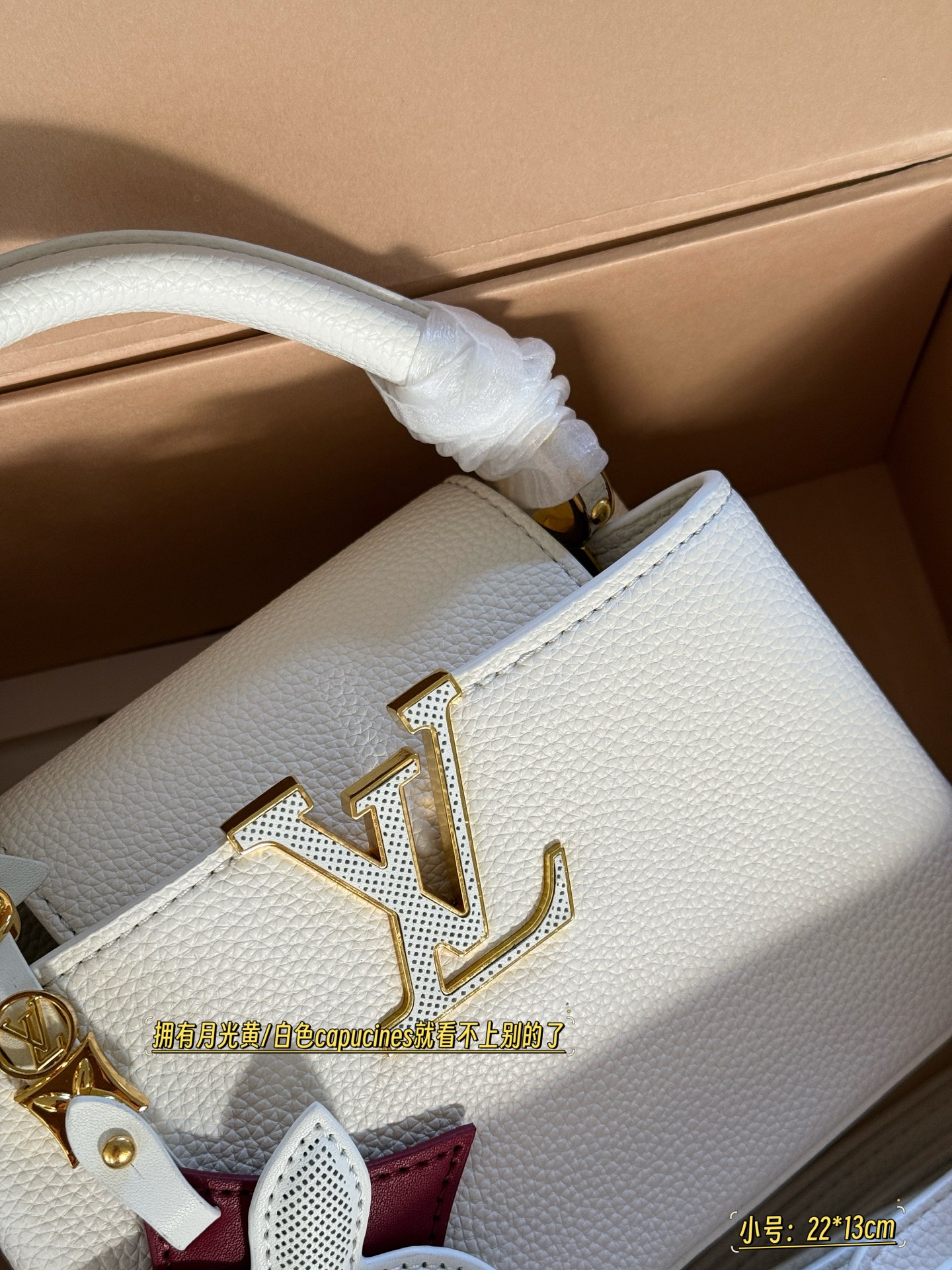 Bolso de mano Capucines de Louis Vuitton en piel Taurillon con textura 4 i1754973156717 6094 0 3