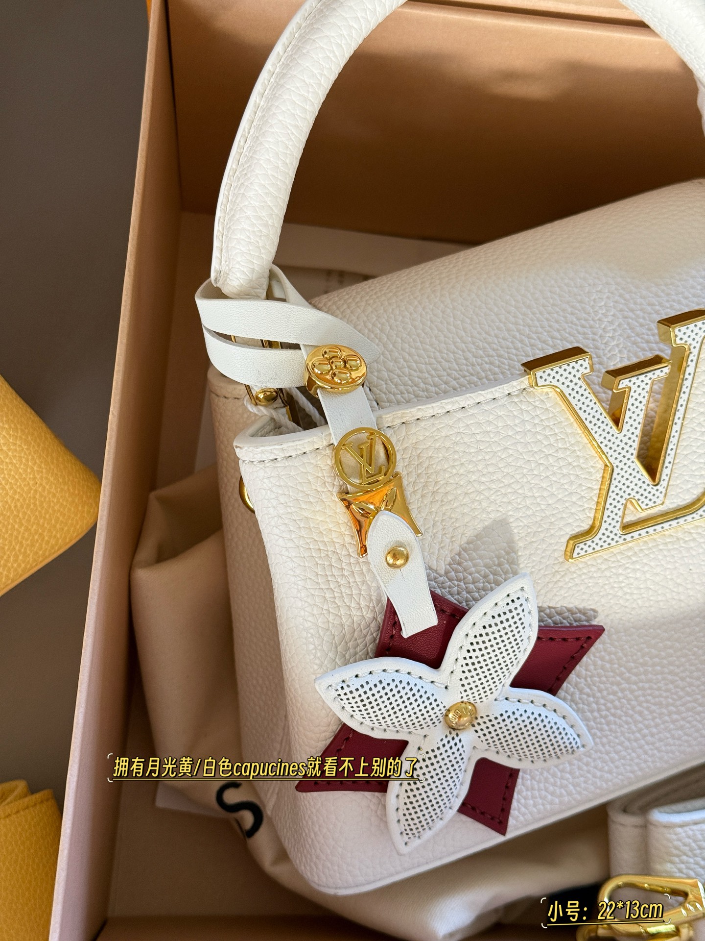 Bolso de mano Capucines de Louis Vuitton en piel Taurillon con textura 5 i1754973158398 7075 0 4