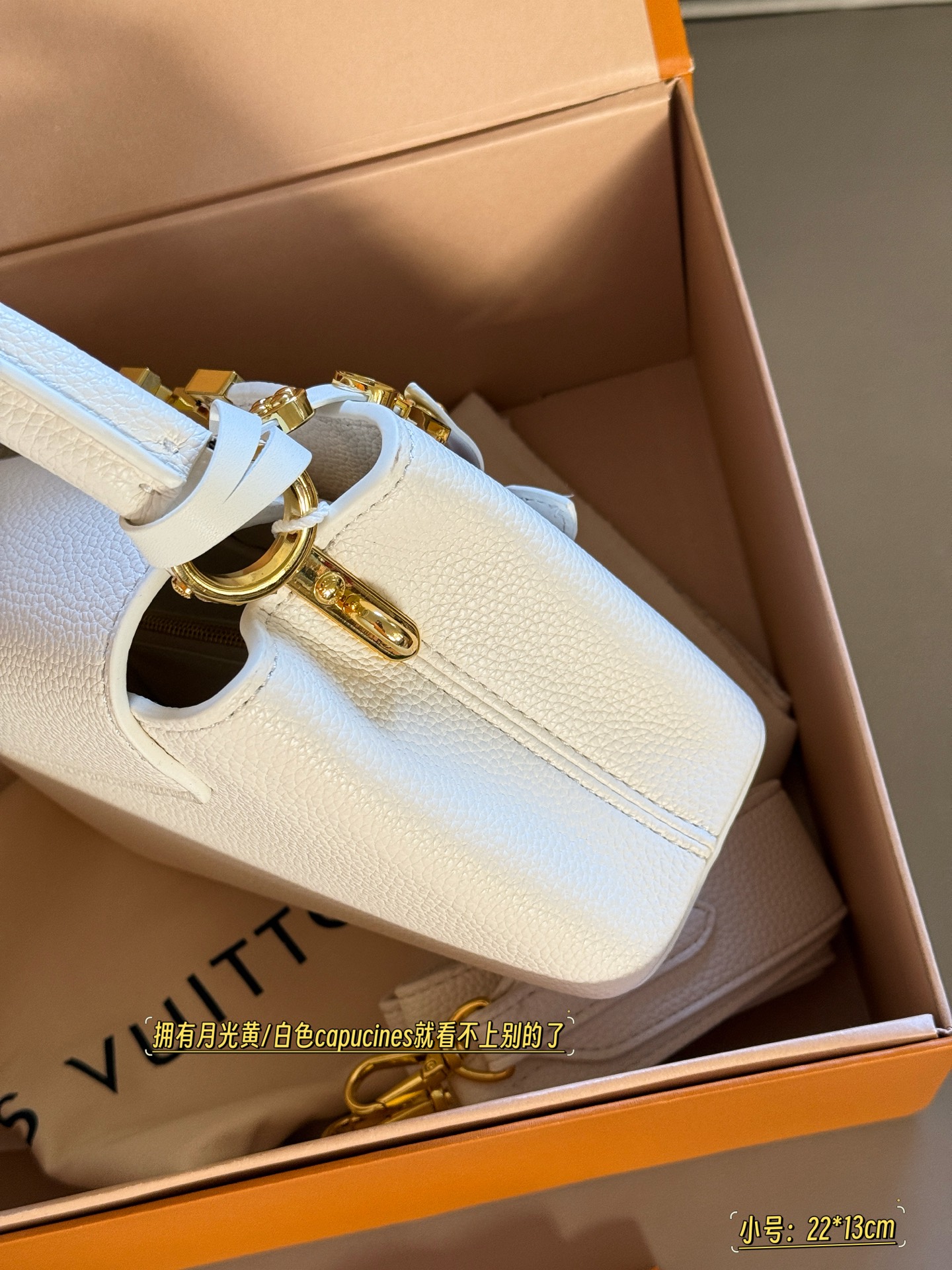 Bolso de mano Capucines de Louis Vuitton en piel Taurillon con textura 7 i1754973158432 696 0 6