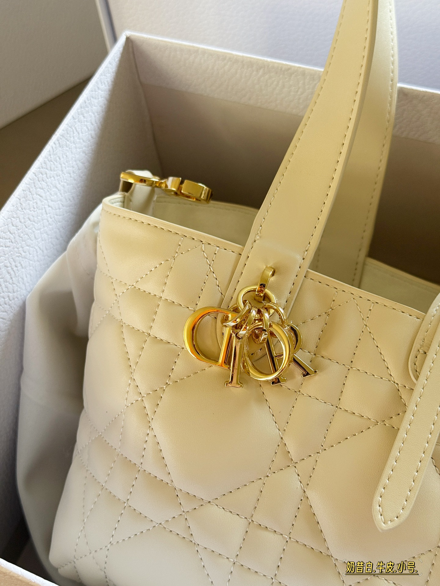 Elegante Bolso de Compras Toujours de Dior, Tamaño Pequeño (23x15 cm) 5 i1755053270716 1251 0 3