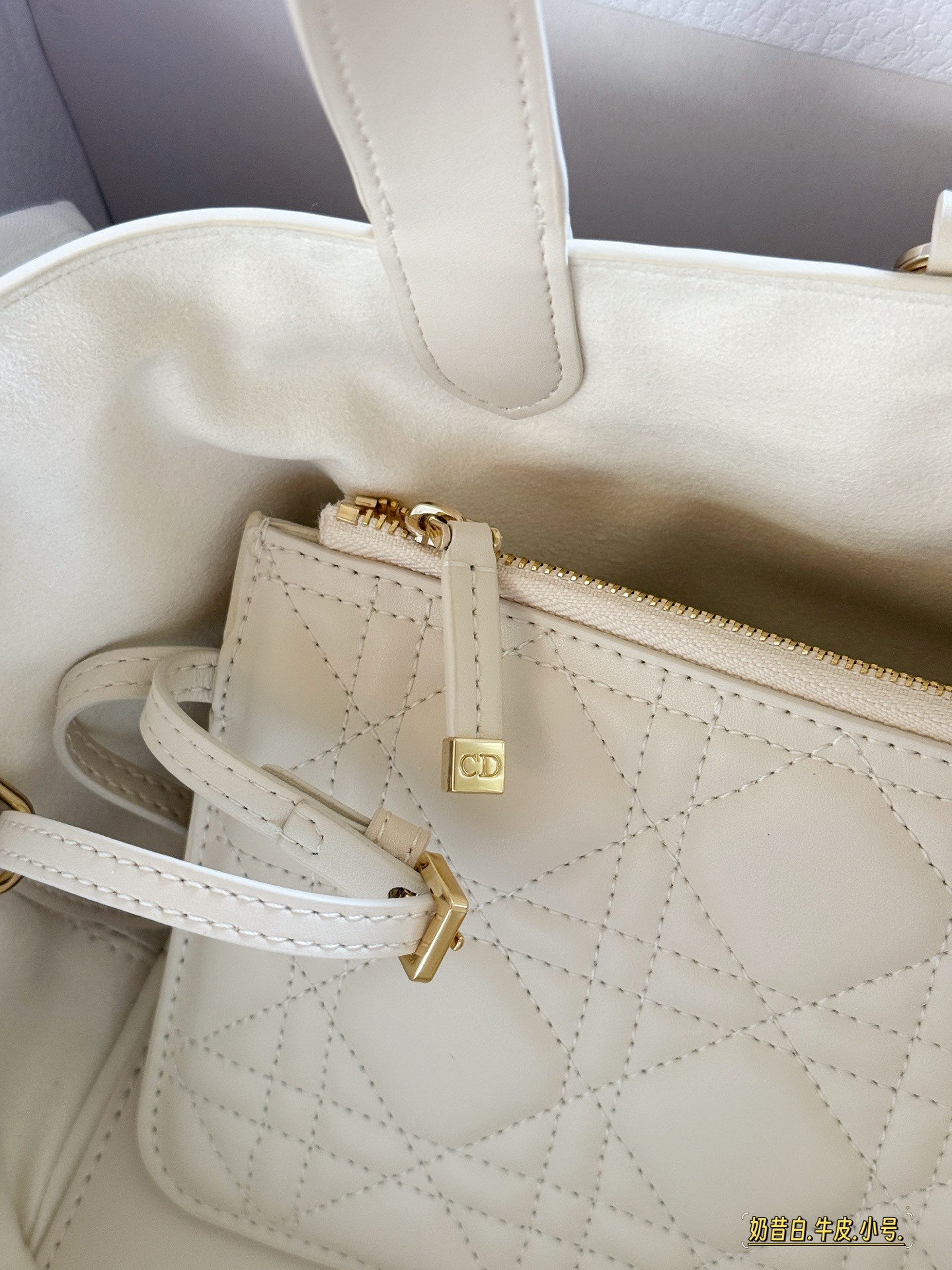 Elegante Bolso de Compras Toujours de Dior, Tamaño Pequeño (23x15 cm) 9 i1755053270719 6367 0 7
