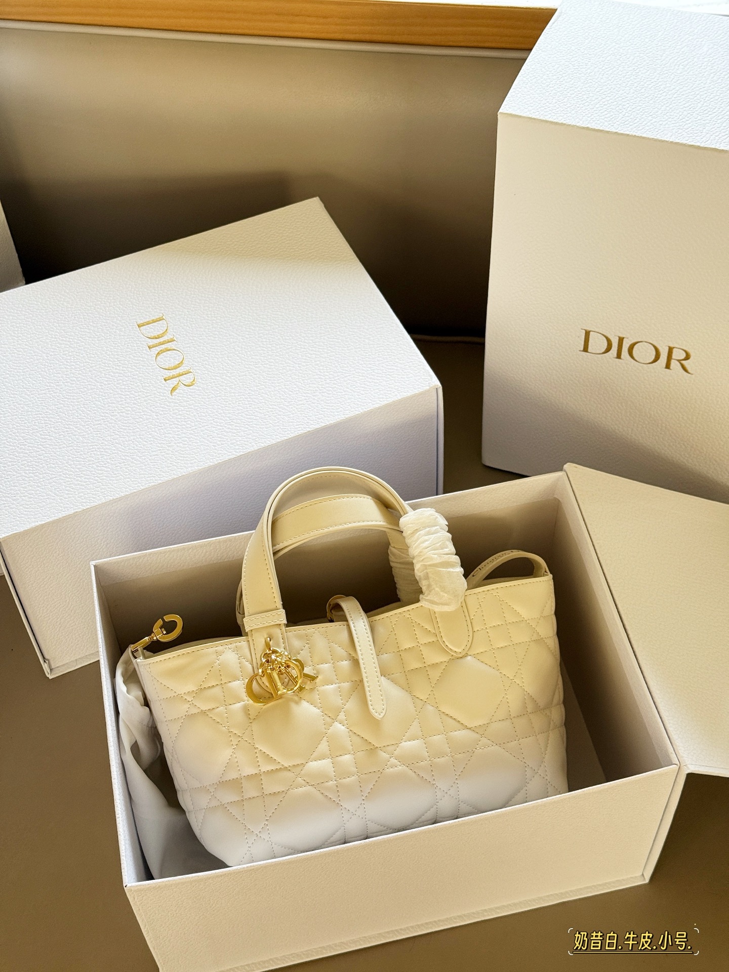 Elegante Bolso de Compras Toujours de Dior, Tamaño Pequeño (23x15 cm) 3 i1755053270736 1459 0 1