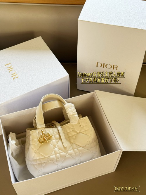 Elegante Bolso de Compras Toujours de Dior, Tamaño Pequeño (23x15 cm) 14 Elegante Bolso de Compras Toujours de Dior, Tamaño Pequeño (23×15 cm)