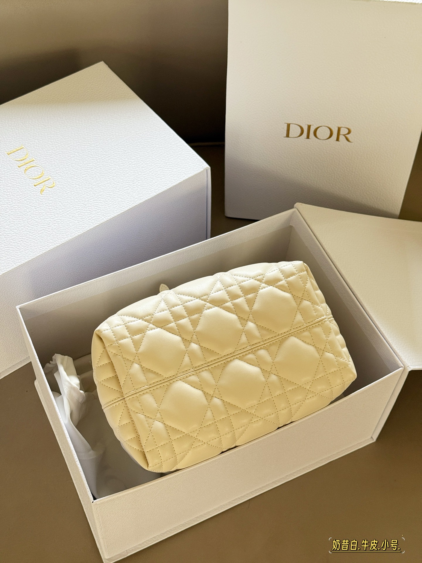 Elegante Bolso de Compras Toujours de Dior, Tamaño Pequeño (23x15 cm) 8 i1755053272567 5320 0 6