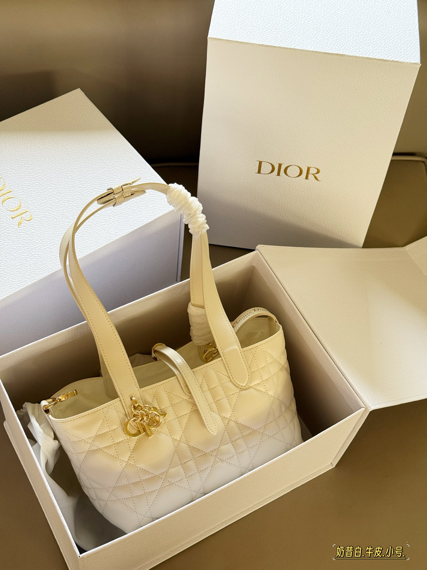 Elegante Bolso de Compras Toujours de Dior, Tamaño Pequeño (23x15 cm) 4 i1755053272634 7190 0 2