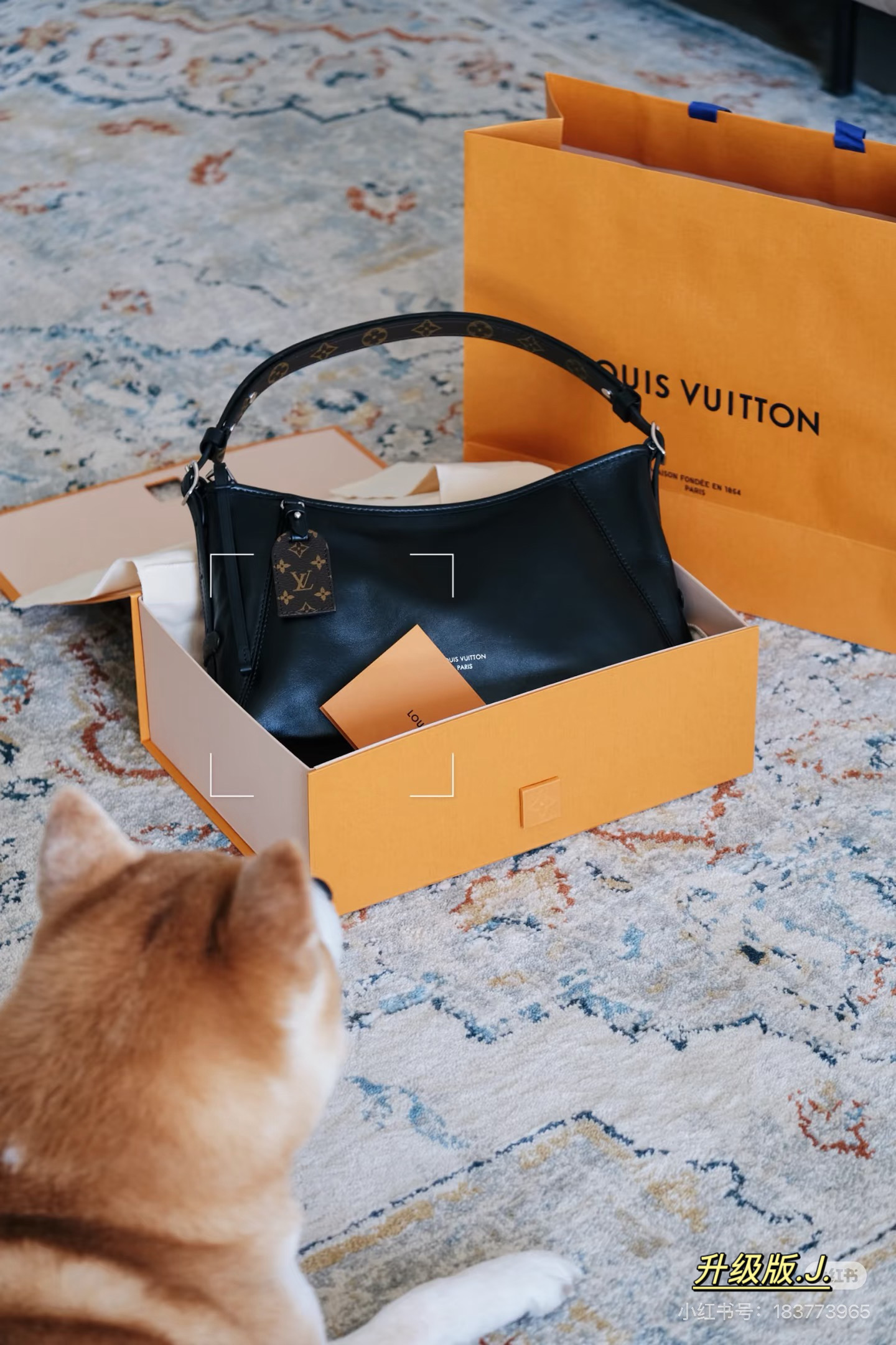 _dne9s6TtbzjLvAU9Iv3fGp-10xnSisSz1XIqLLQ