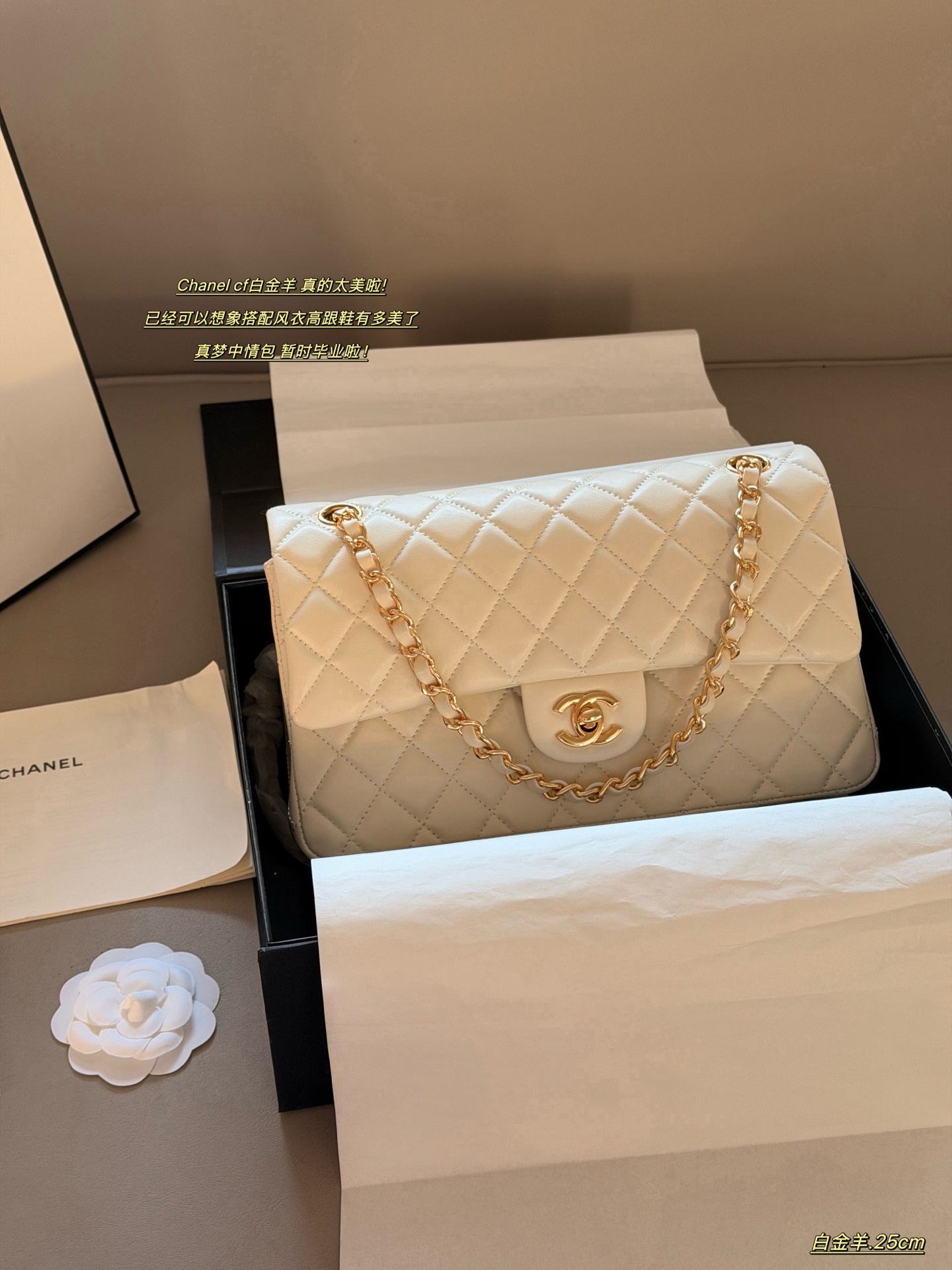 _diu9sfHTLh-M7lofHe0MHumU-agqizFOsX6f4Cw