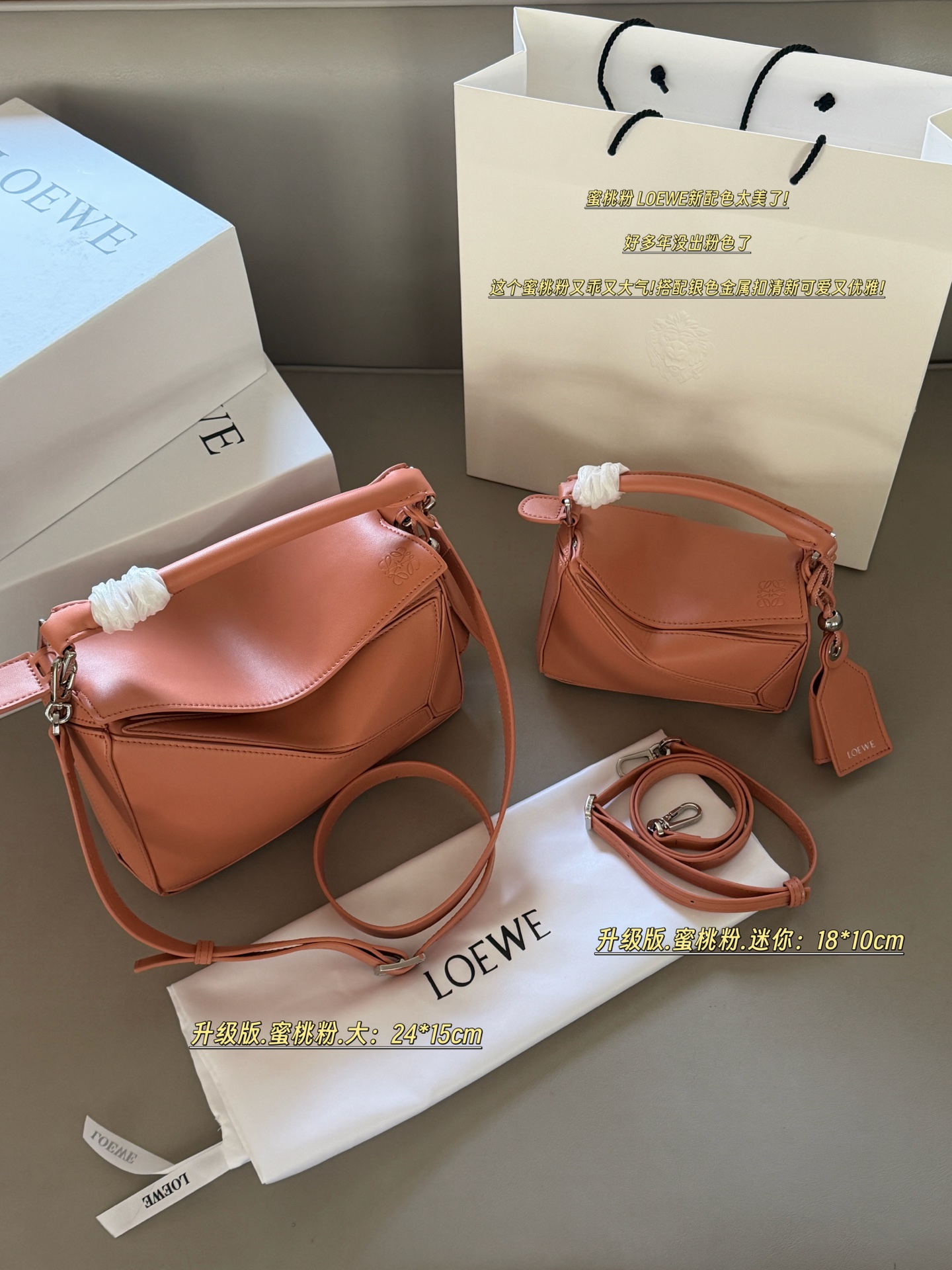 Loewe mini everyday