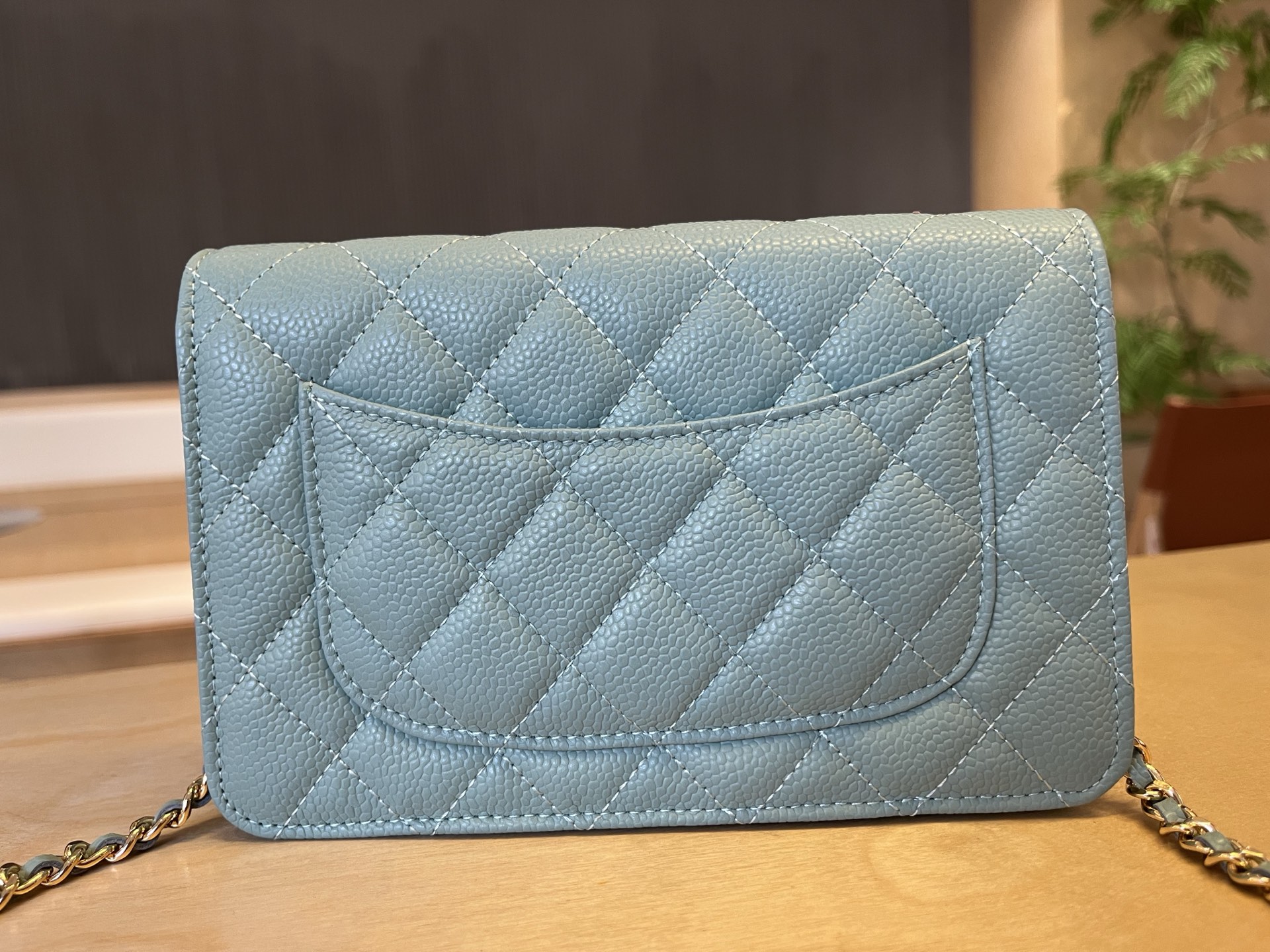 Chanel WOC Wallet On Chain Crossbody Bag, 12*19.3*3.5 cm, Light Blue 3 i1750091755197 1112 0 2
