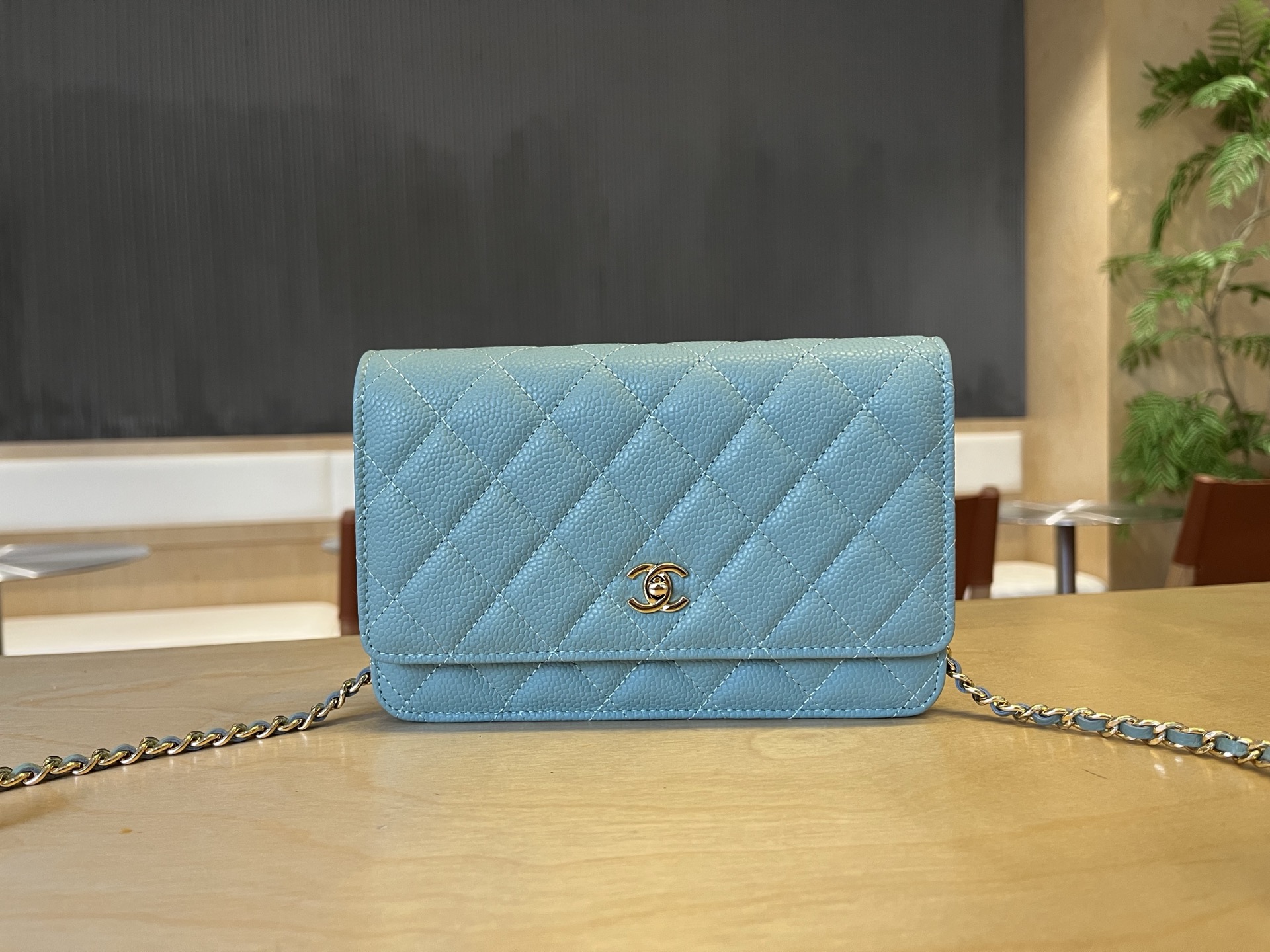 Chanel WOC Wallet On Chain Crossbody Bag, 12*19.3*3.5 cm, Light Blue 1 i1750091756265 3967 0 0