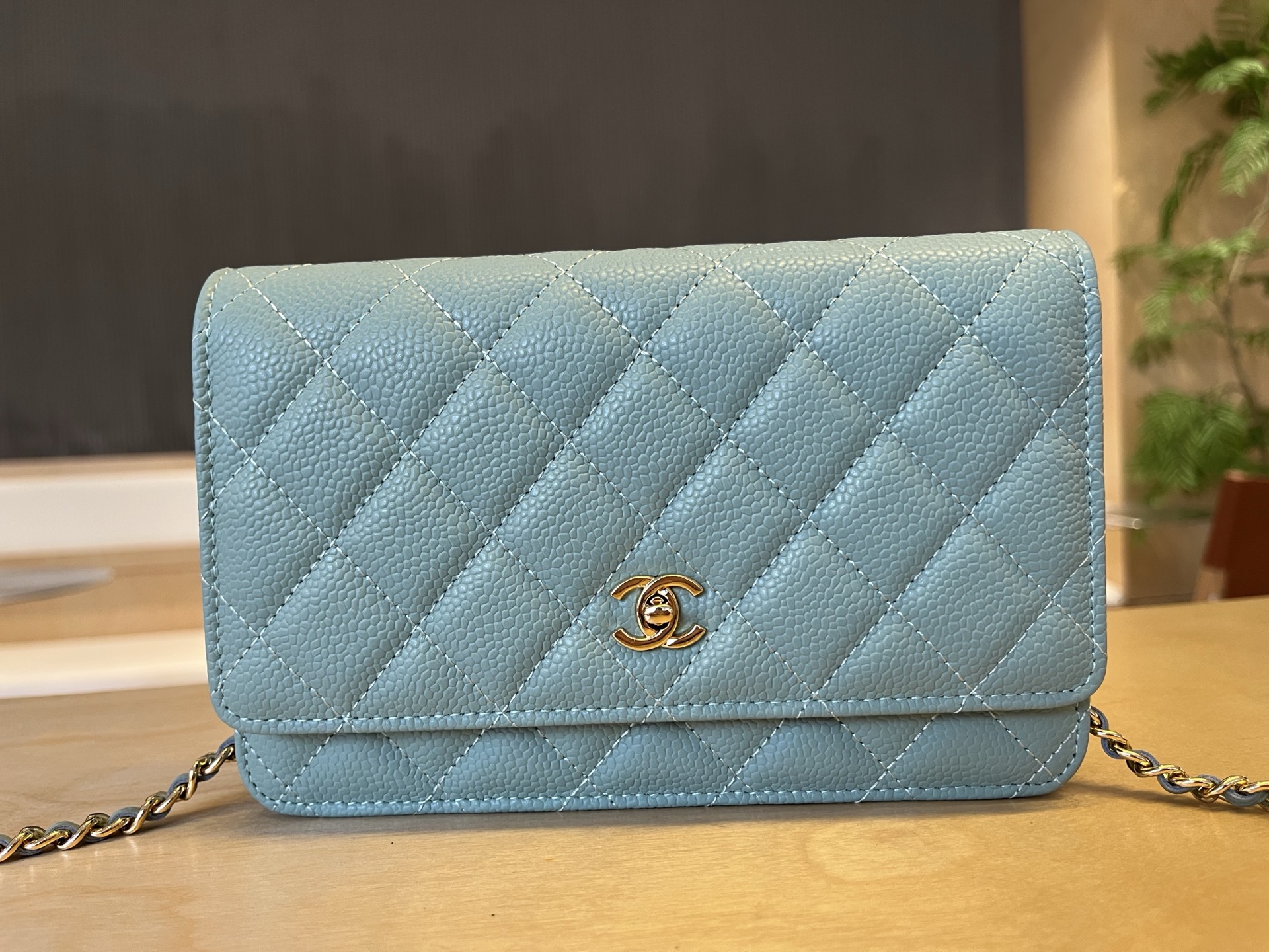 Chanel WOC Wallet On Chain Crossbody Bag, 12*19.3*3.5 cm, Light Blue 2 i1750091756358 7715 0 1