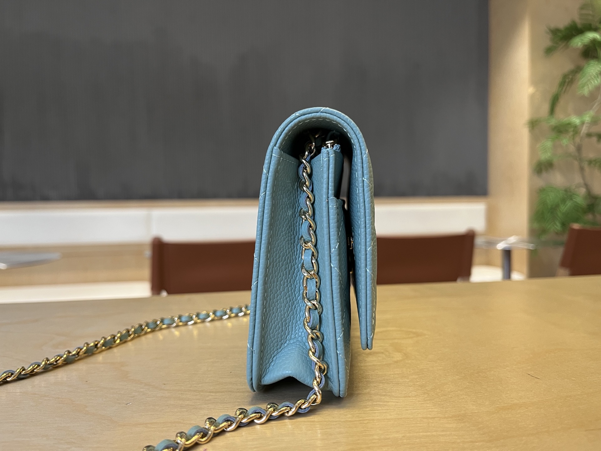Chanel WOC Wallet On Chain Crossbody Bag, 12*19.3*3.5 cm, Light Blue 4 i1750091756424 1026 0 3