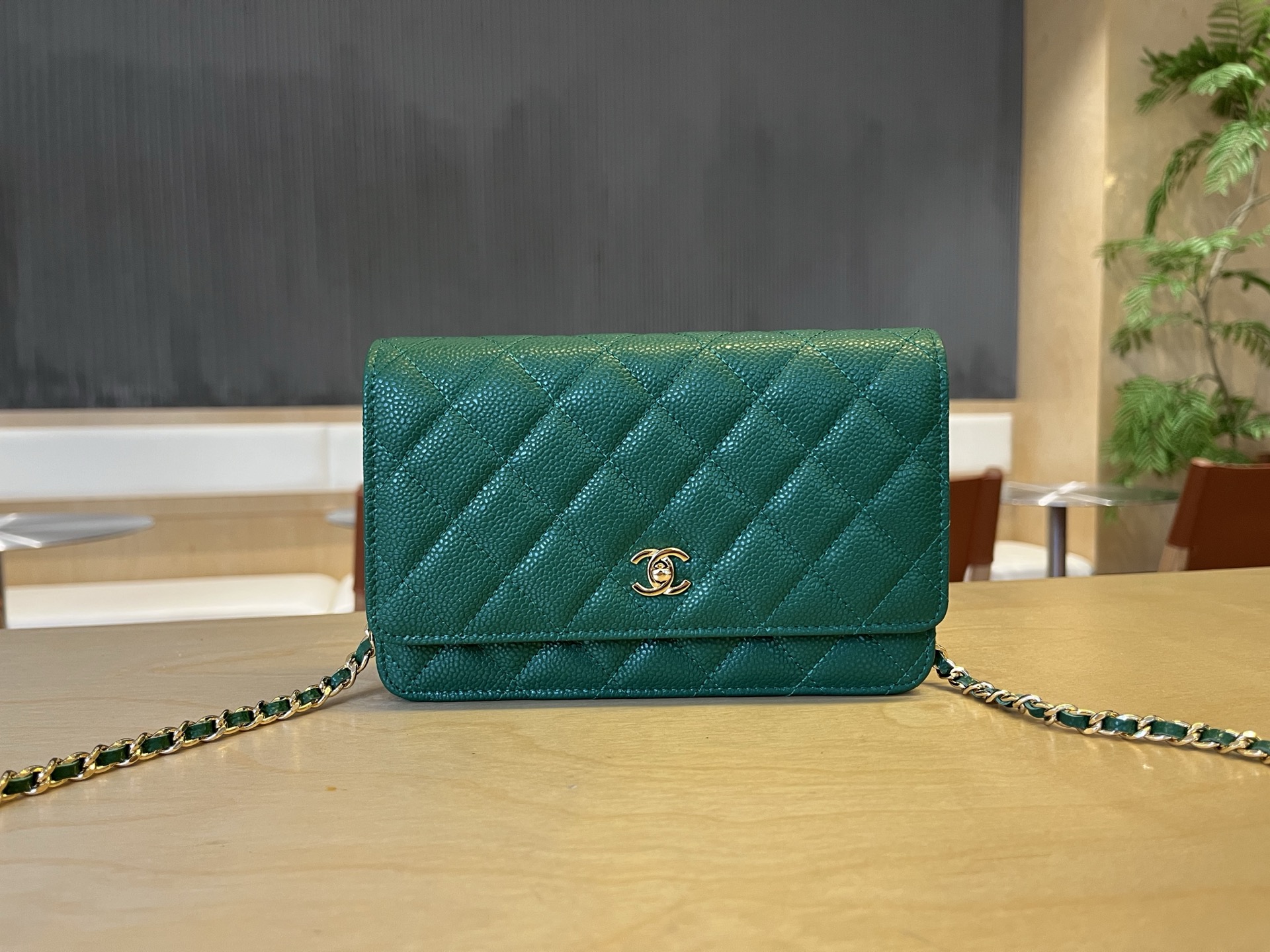 Chanel WOC Chain Wallet in Green Caviar Leather with Gold Hardware 2 i1750091902540 6229 0 0