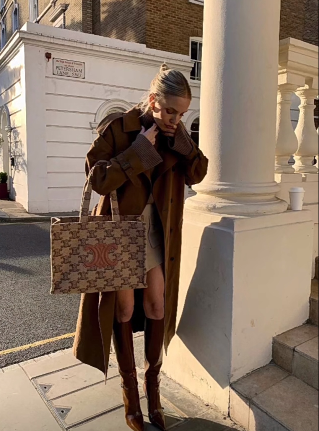 CelineMailade style tote~