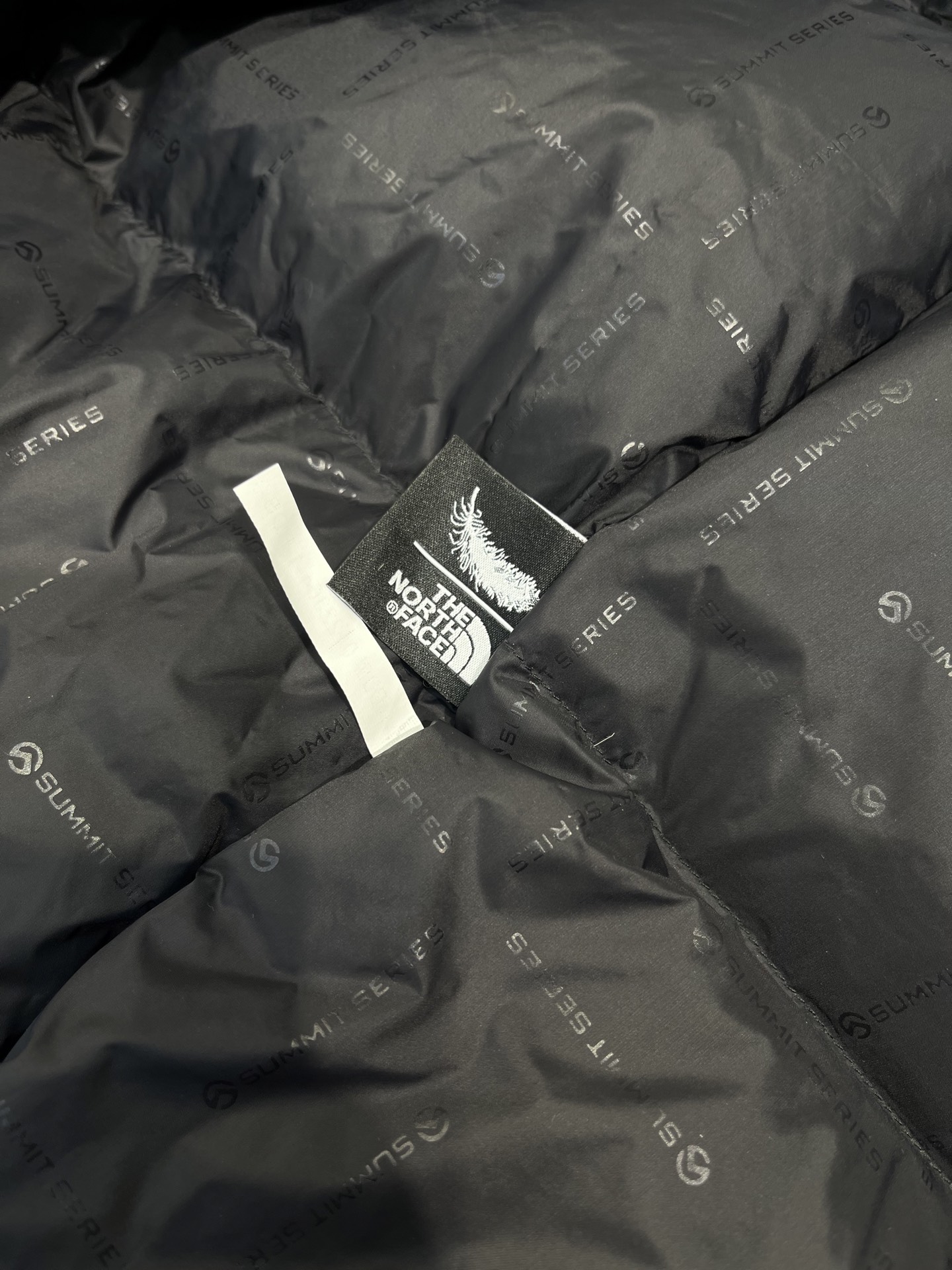 The North Face レトロヒマラヤ ロングダウン 防水14Dナイロン 極暖