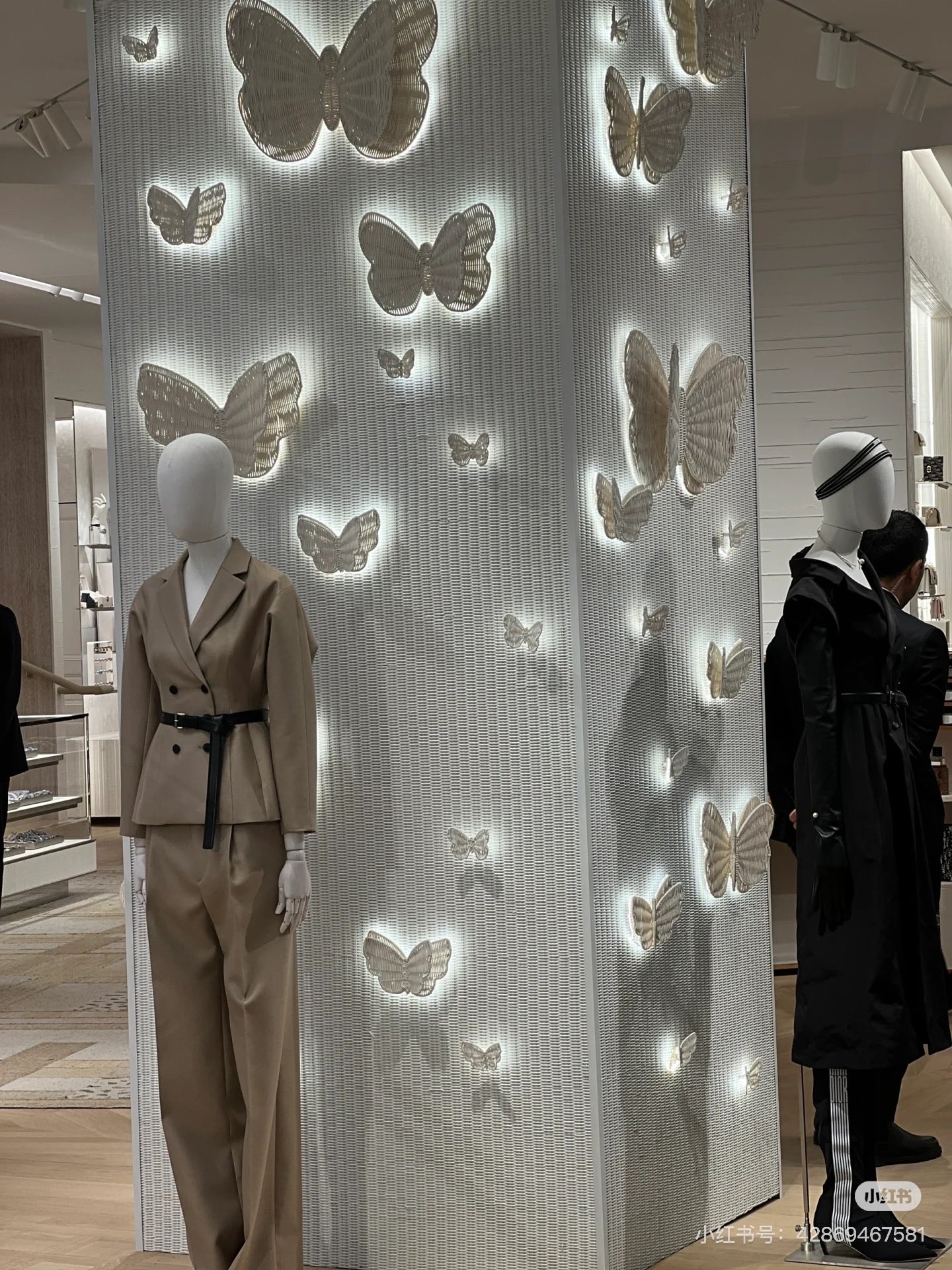 NO:501921,window, alexander wang19860909橱窗,,alexander wang,Women's clothing