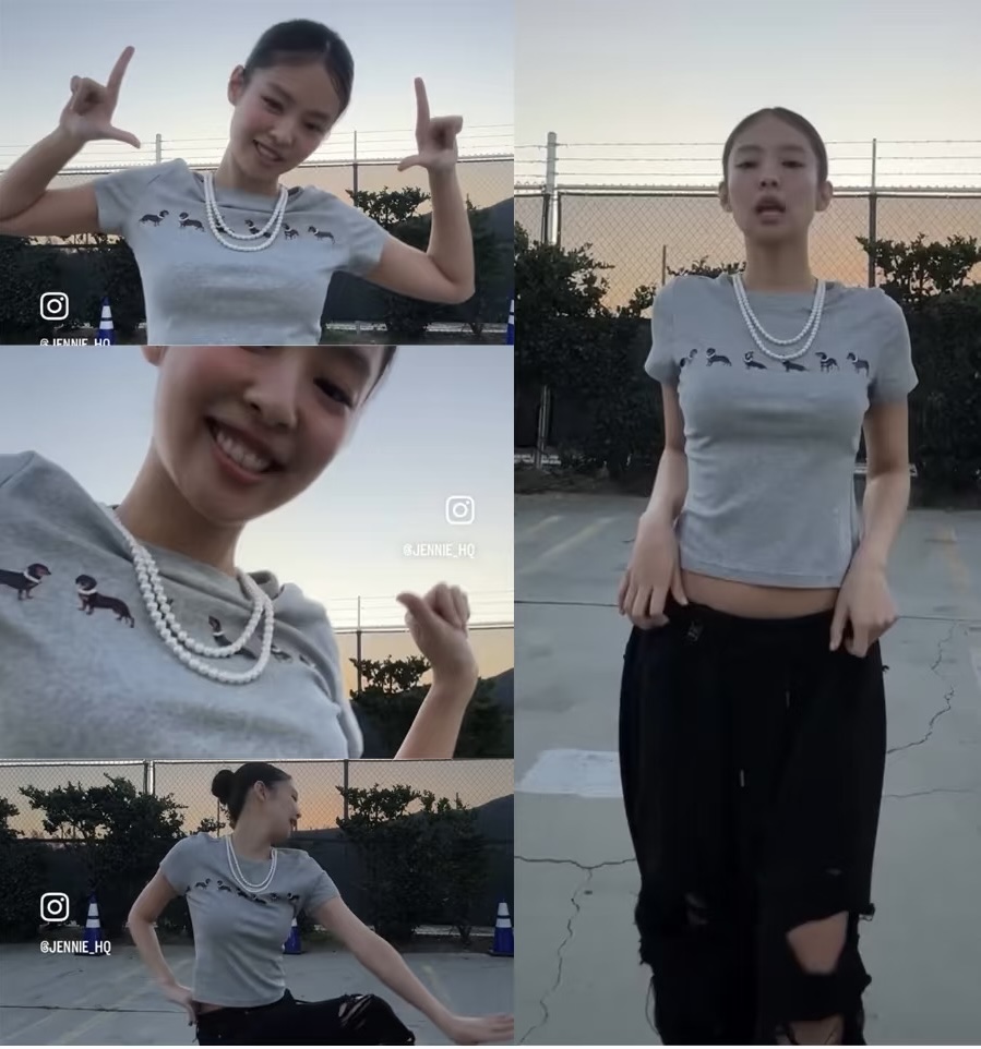 NO:318319,Jennie,,alexander wang19860909Jennie,,alexander wang,Women's clothing