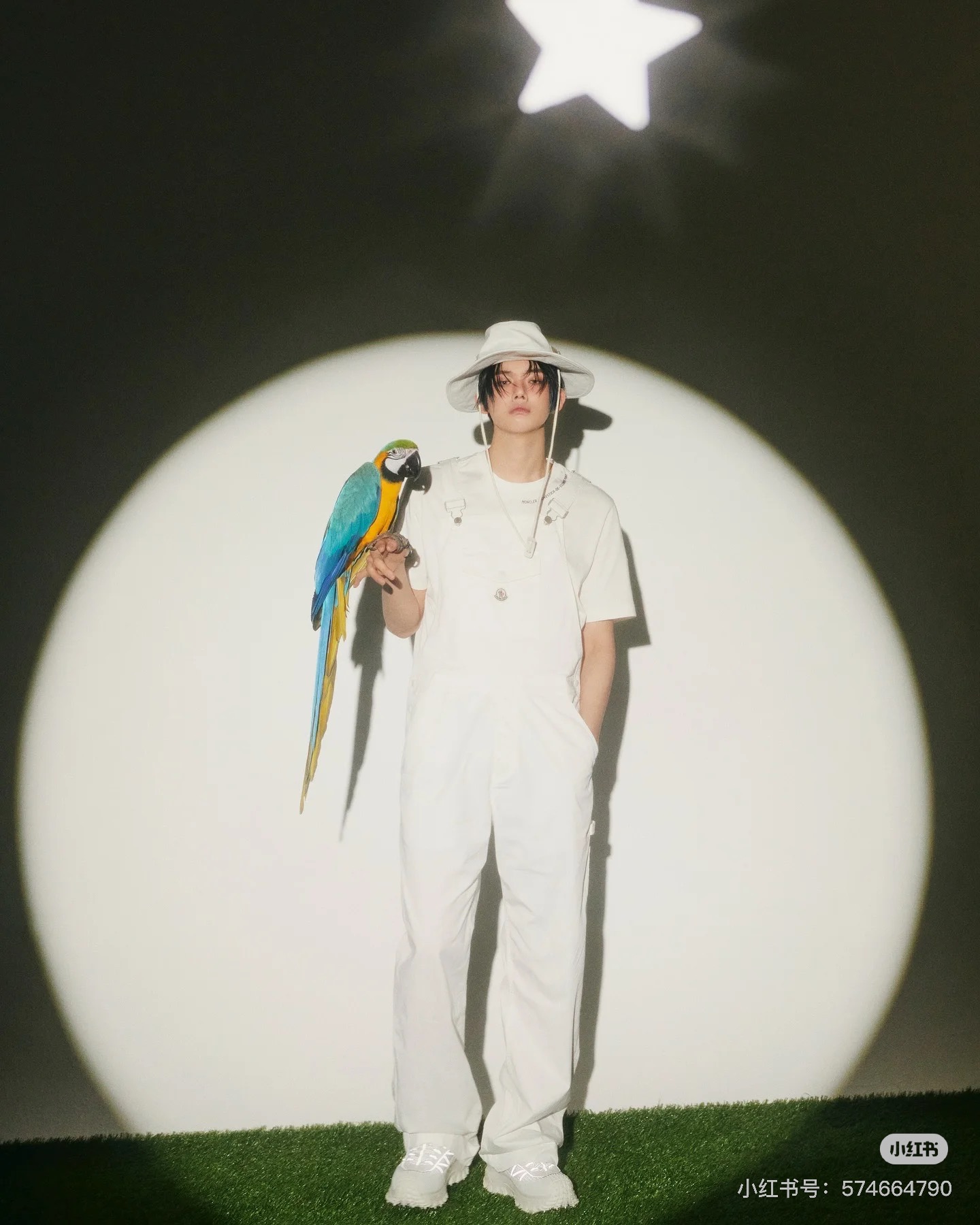 NO:434139,overalls, alexander wang19860909背带裤,,alexander wang,Women's clothing