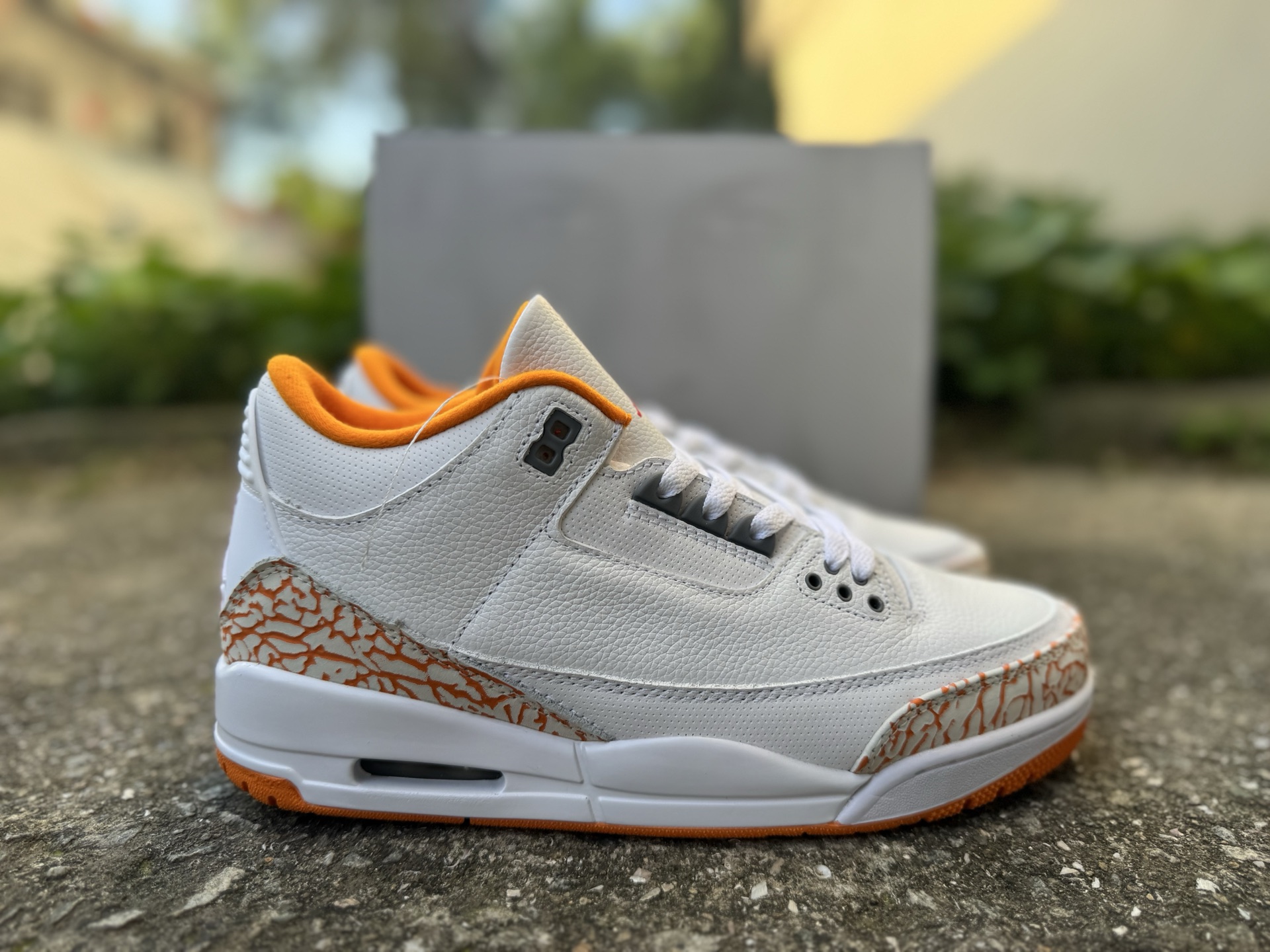Air jordan 3 032