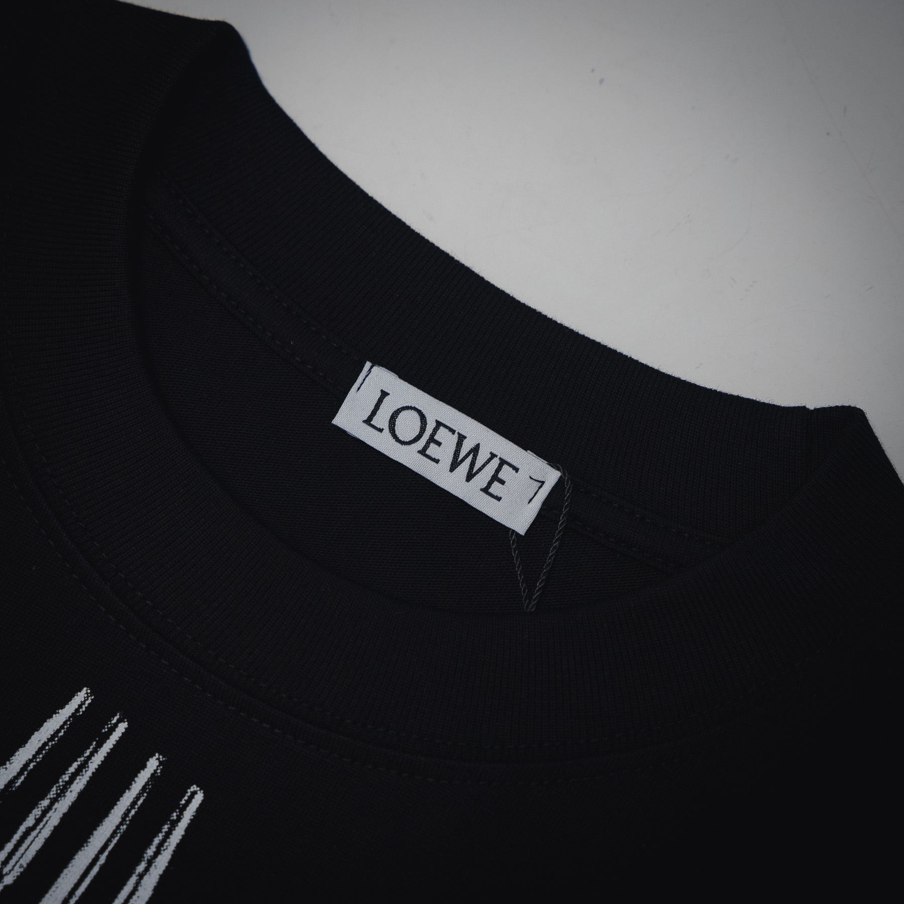 LOEWE/罗意威25ss羽毛印花短袖T恤