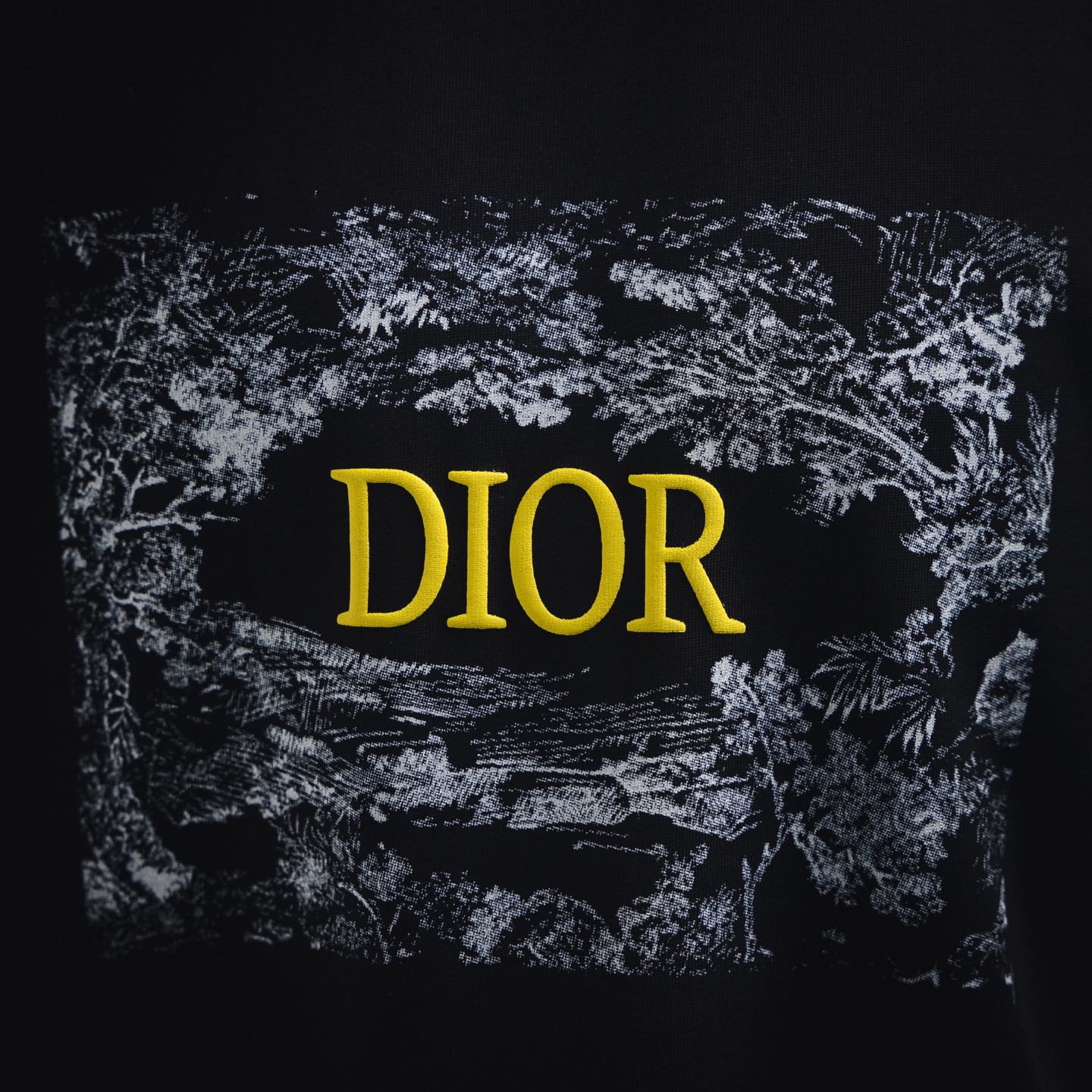 DIOR/迪奥25SS胸前花卉发泡字母logo短袖T恤