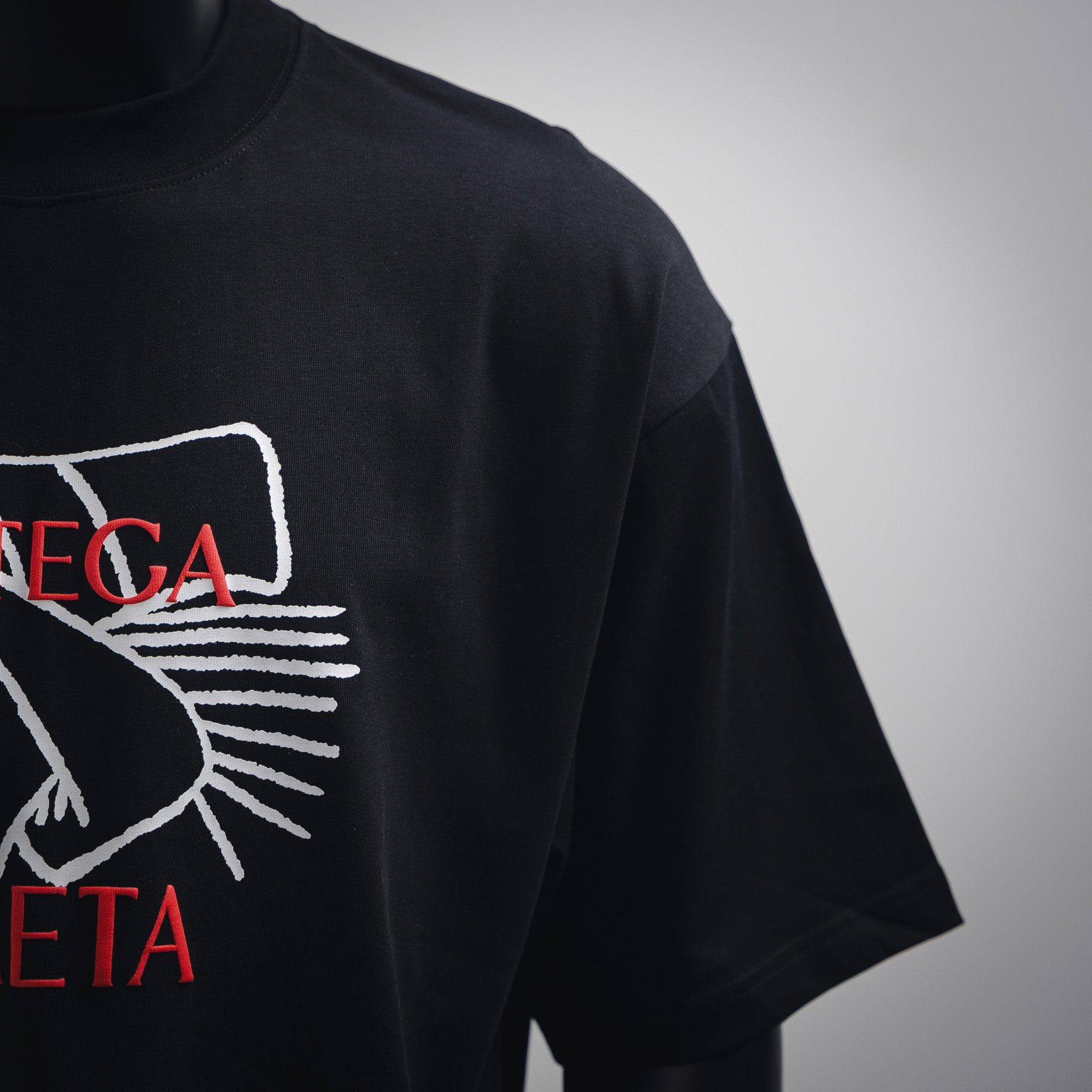 BOTTEGA VENETA葆蝶家BV 25SS小蛇图案字母刺绣短袖T恤