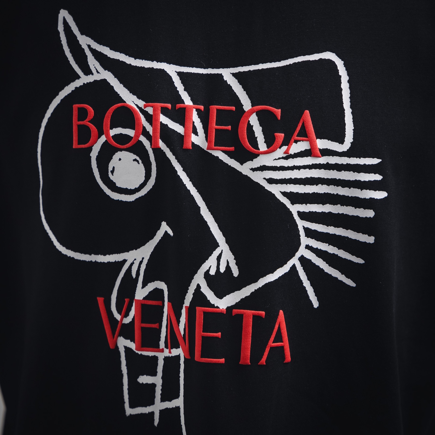 BOTTEGA VENETA葆蝶家BV 25SS小蛇图案字母刺绣短袖T恤