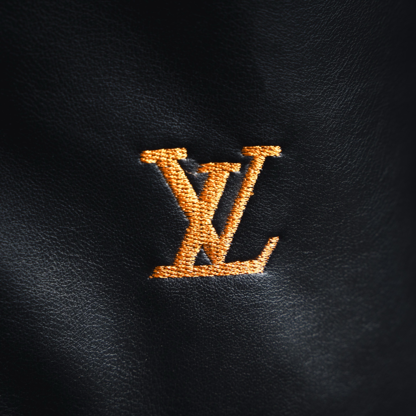 LOUIS VUITTON LV 25ss 刺绣Logo动漫皮衣外套