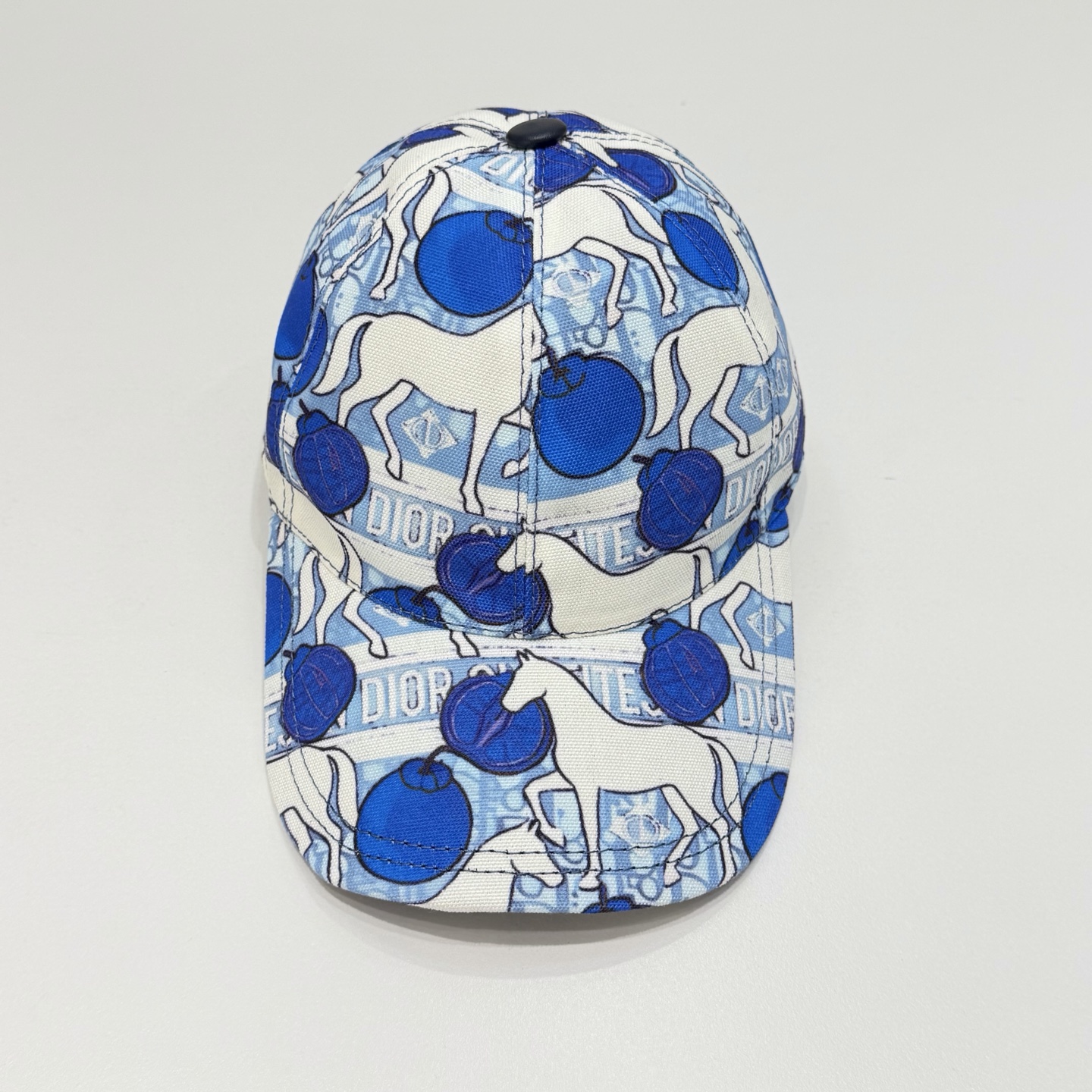디올 모자 119764 Dior Cap