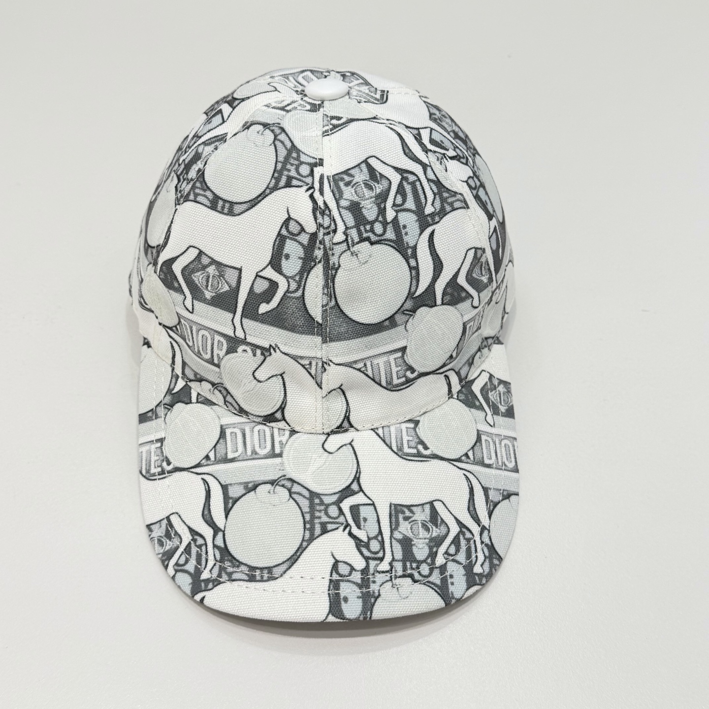 디올 모자 119761 Dior Cap