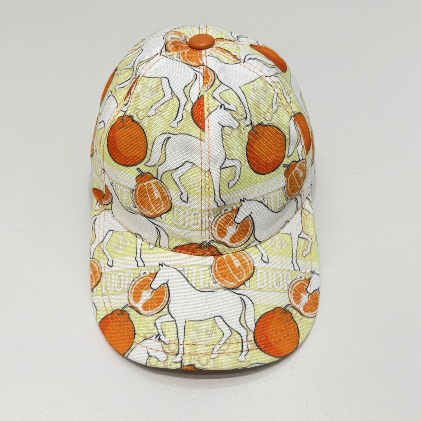 디올 모자 119758 Dior Cap