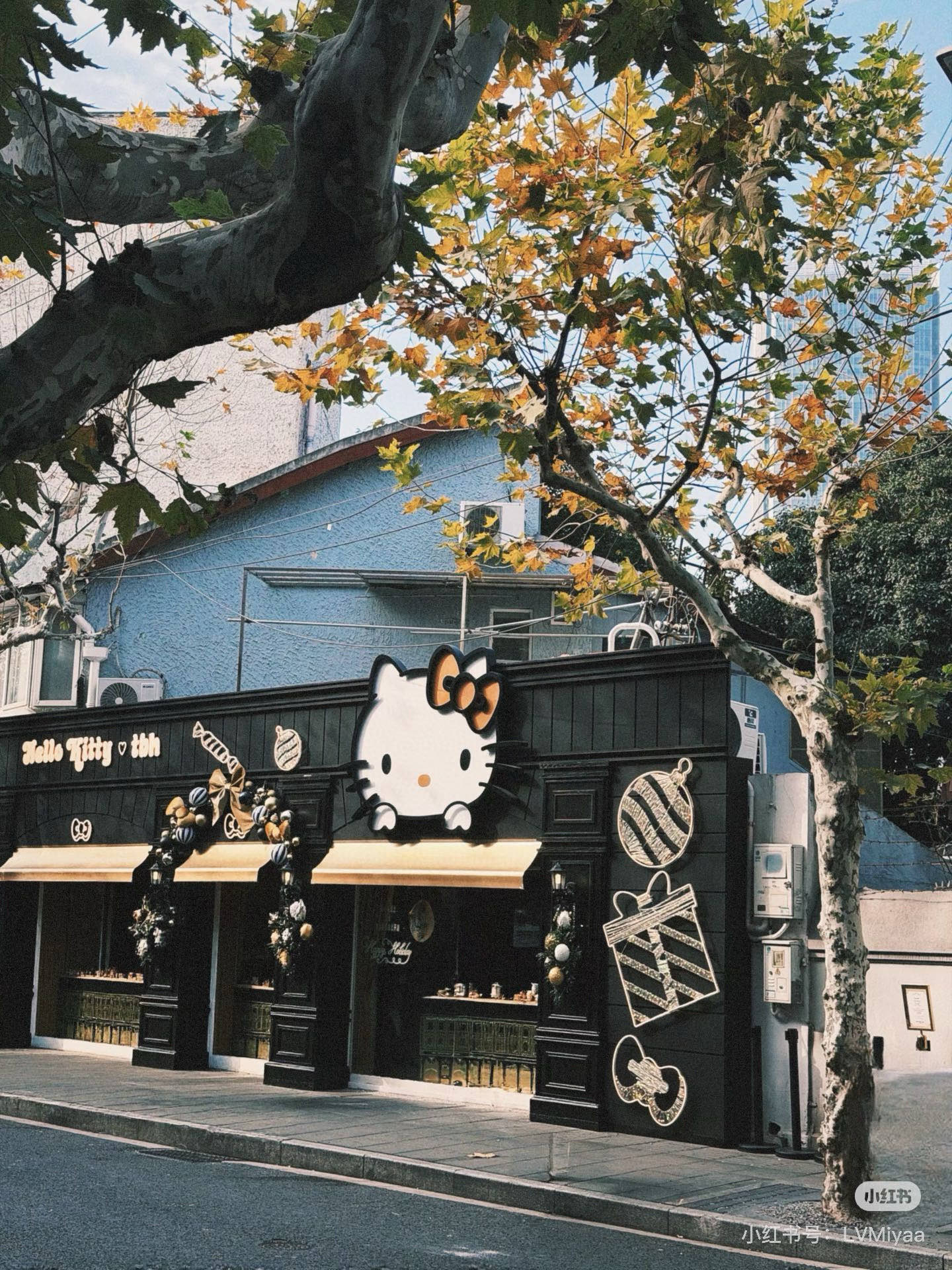 _dlN9sYNxvPn06yIymIDThudelfQ4Ciuc5qcGmow