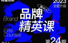 🧧【设计上新】 🔥《尚道设研品牌精英班第24期2023年【画质不错只有视频】》