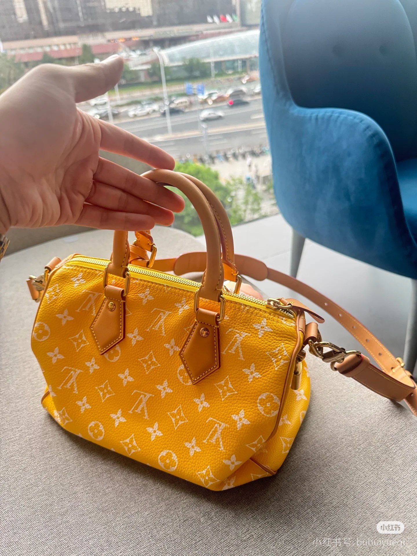 루이비통(버드케이지) 109193 가방 Louis Vuitton Bag