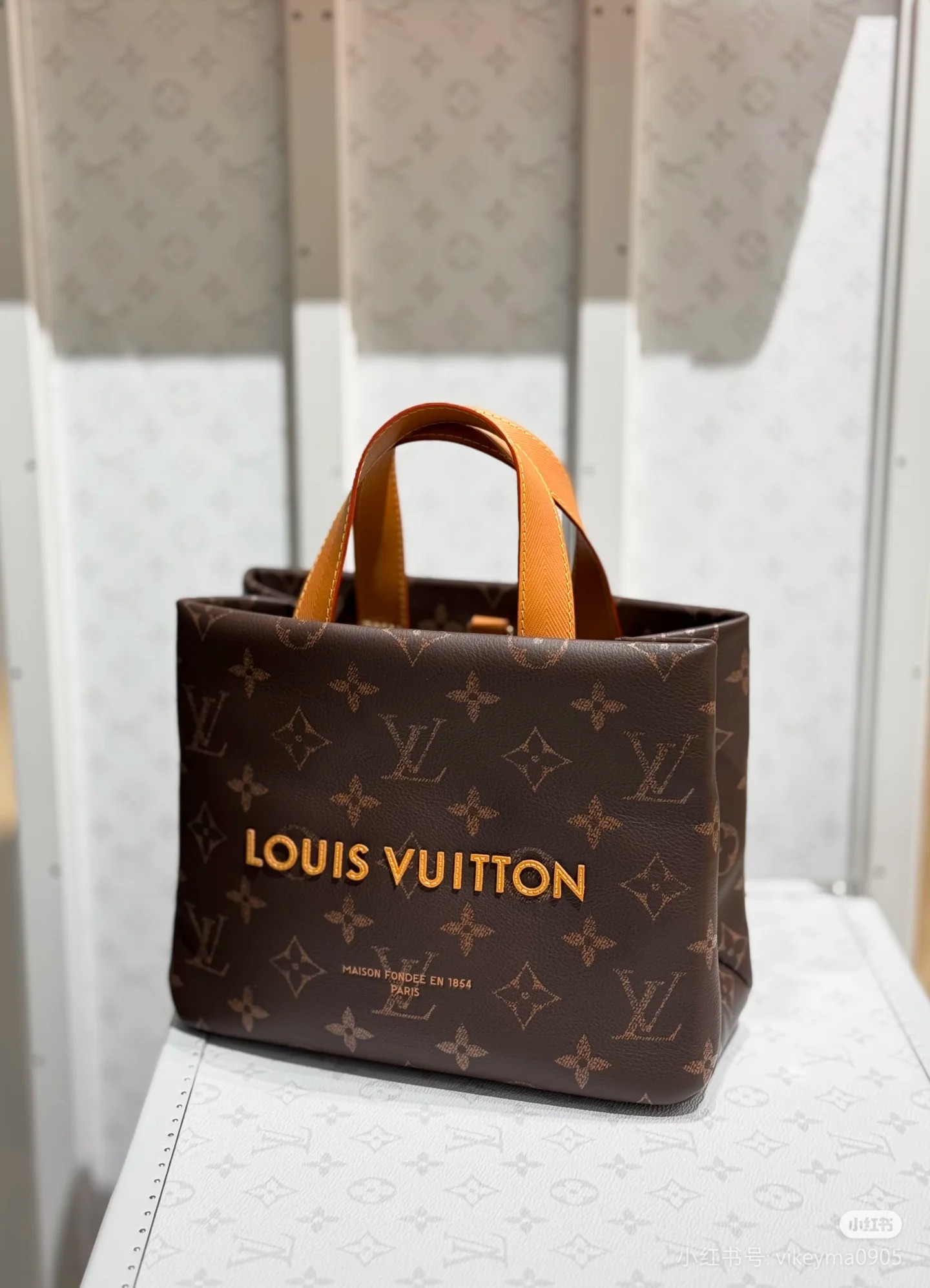 루이비통(버드케이지) 110764 가방 Louis Vuitton Bag