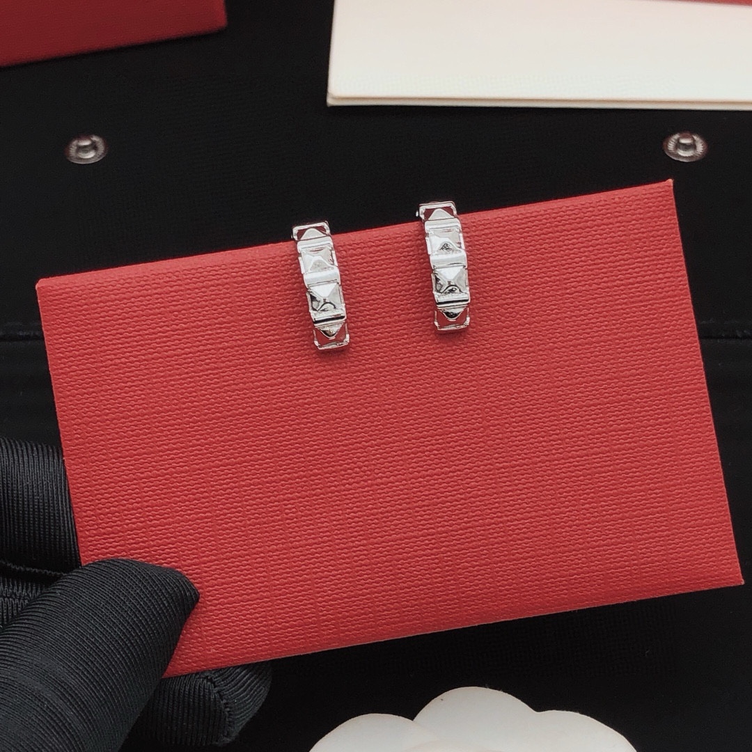Luxury luxury earrings 4