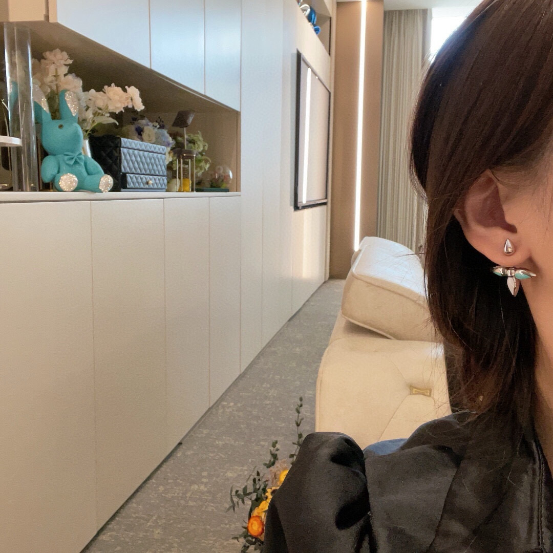 Louis Vuitton Lv最新款
