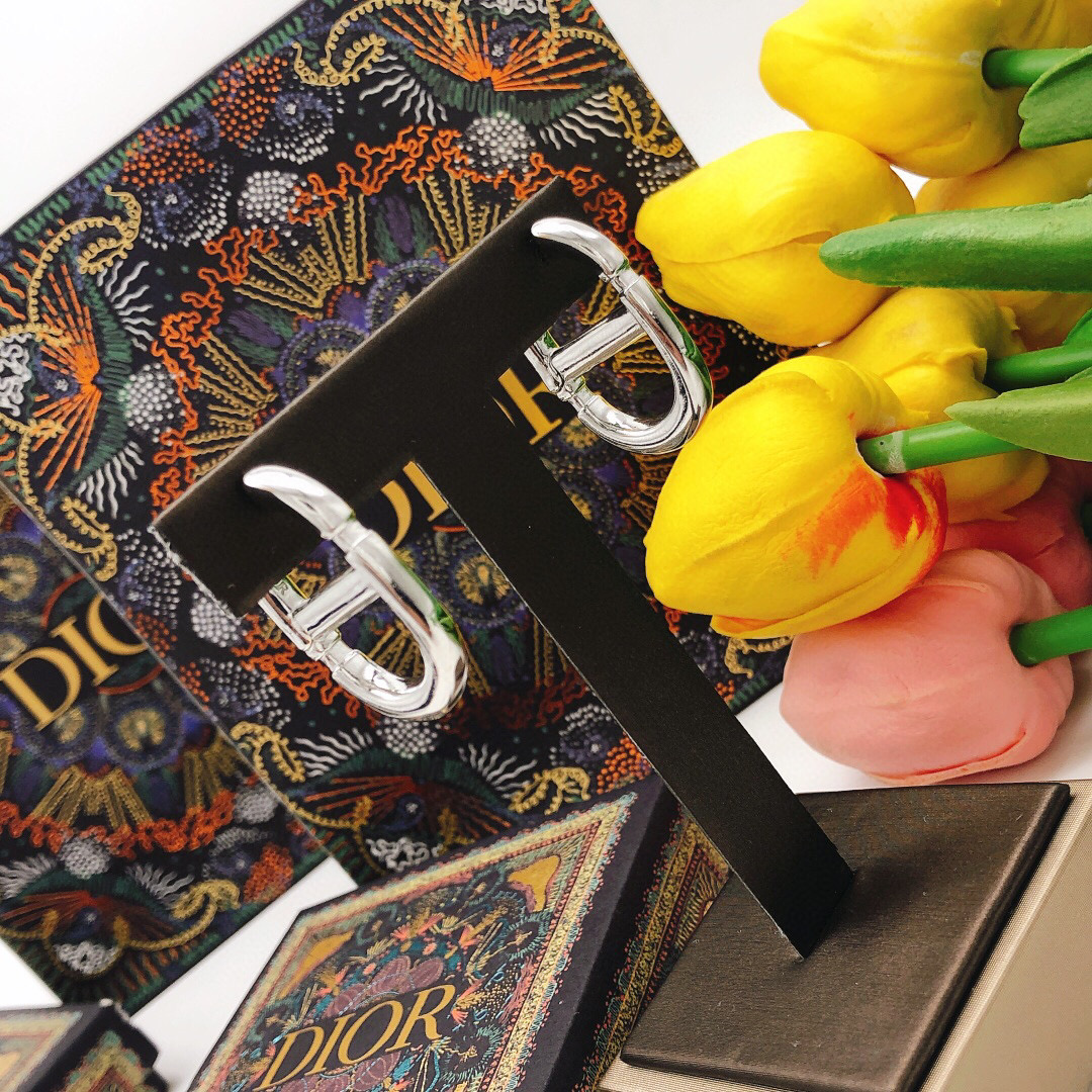 Dior CD光面银色猪鼻子秋冬新款