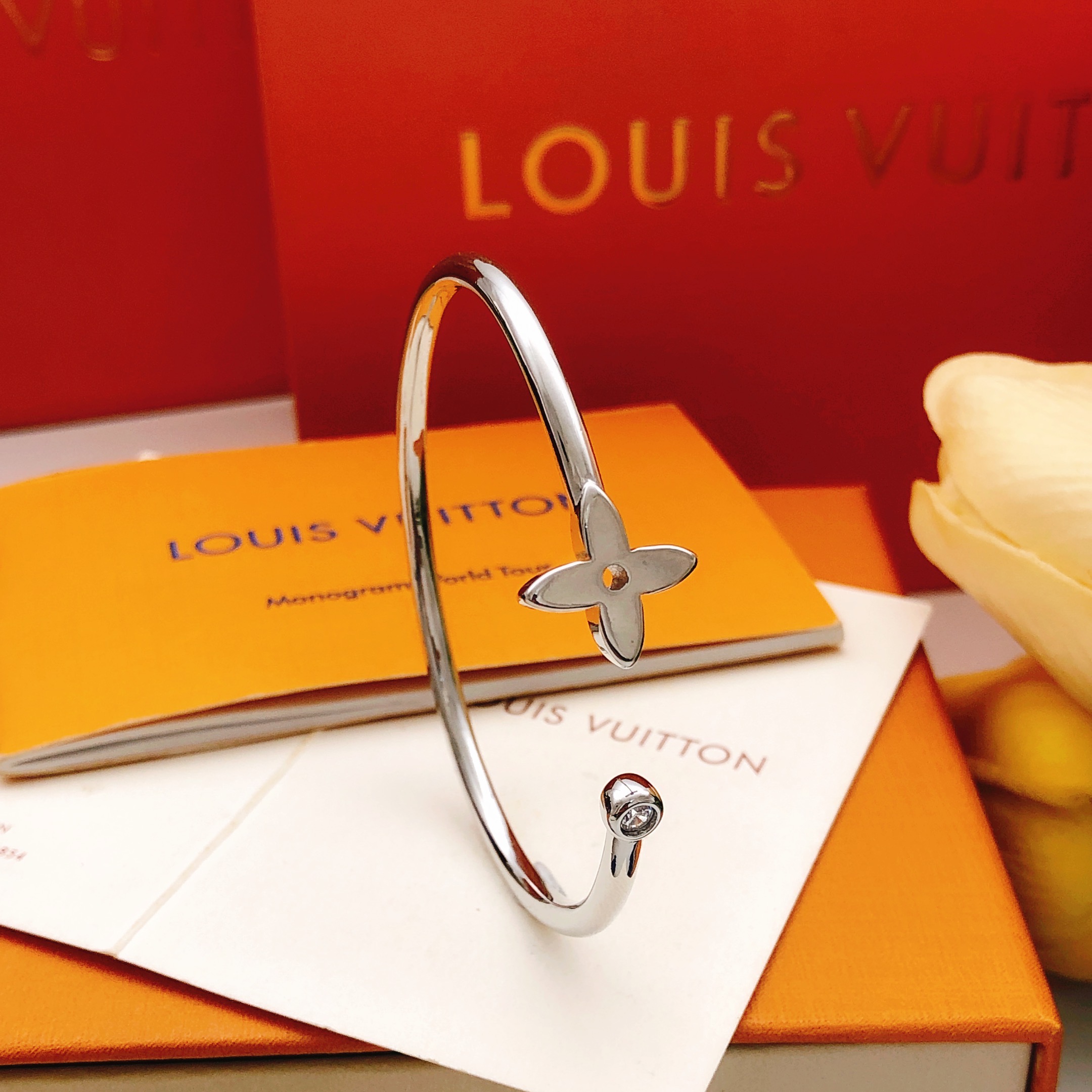Louis Vuitton Lv*最新款