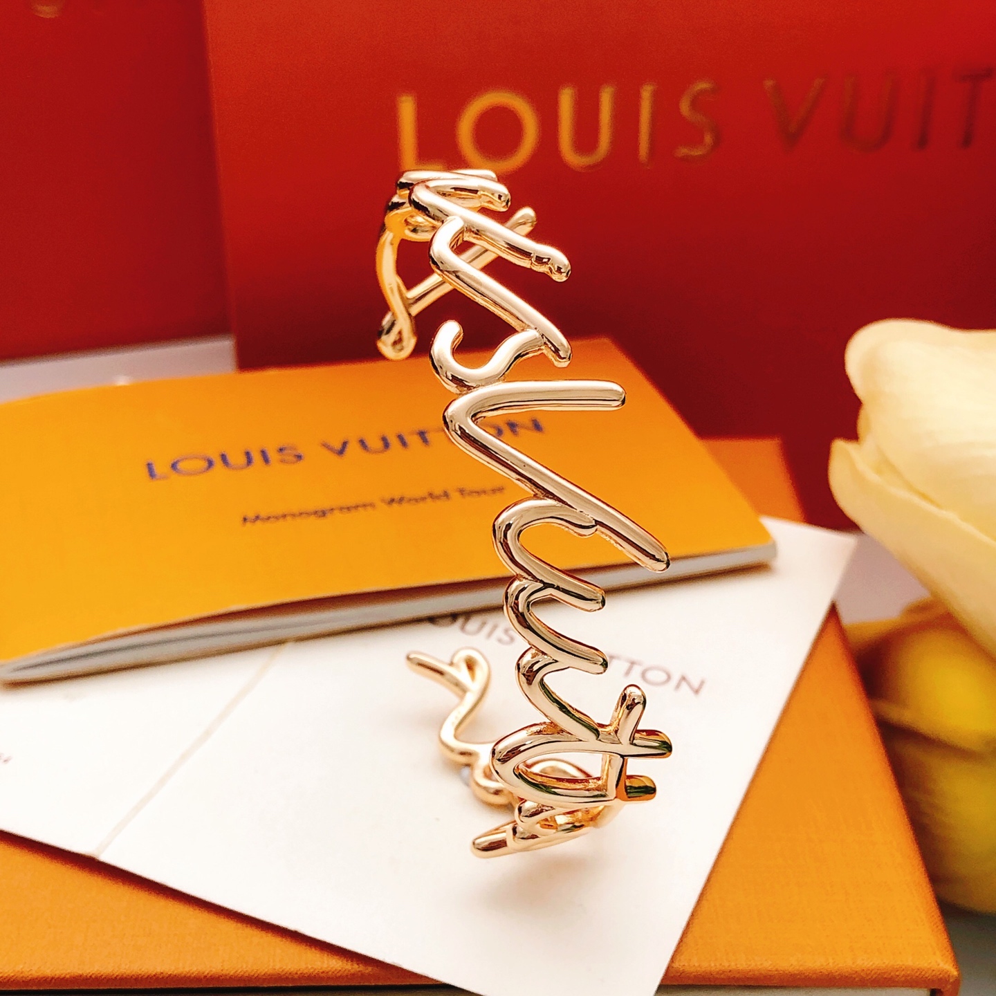 Louis Vuitton Lv*最新款