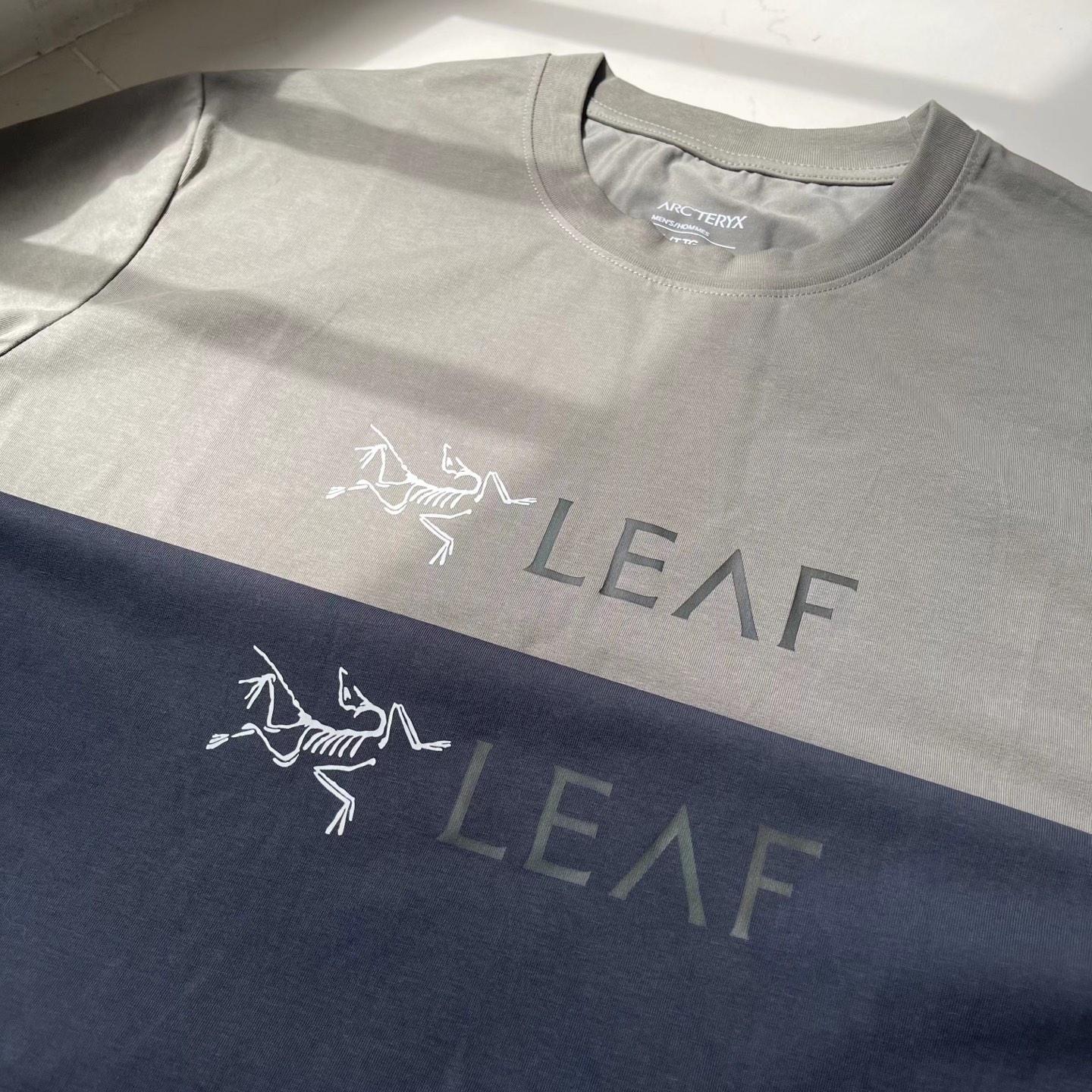 军鸟系列 Leaf Word SS T-shirt
