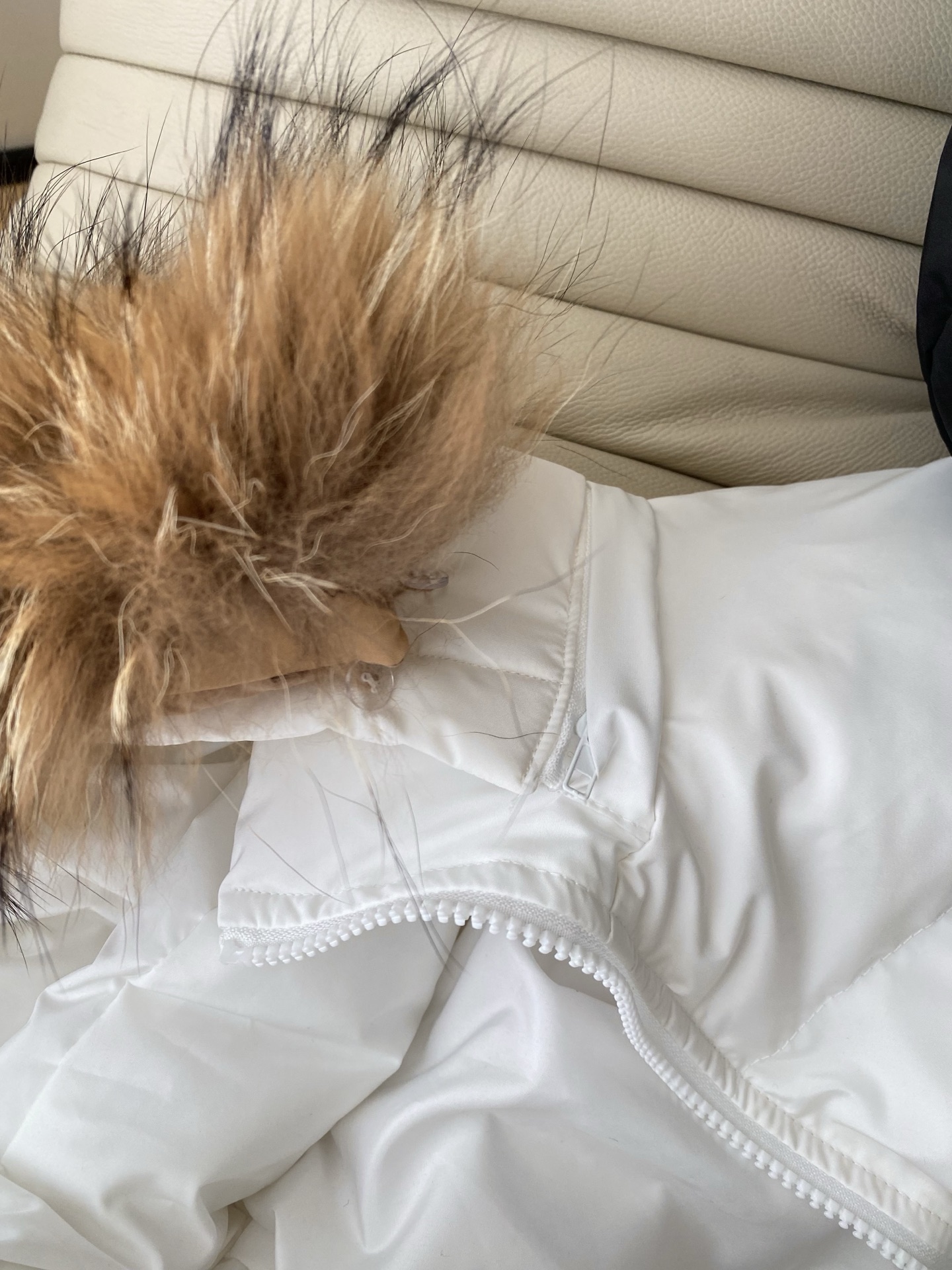 25。F秋冬 貉子毛领短款羽绒服 大毛领衬得脸巨小 90白鸭绒填充 短款版型刚好露腰线 配阔腿裤显高袖口