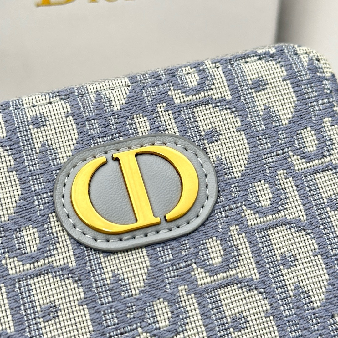 Dior Oblique Blue everyday