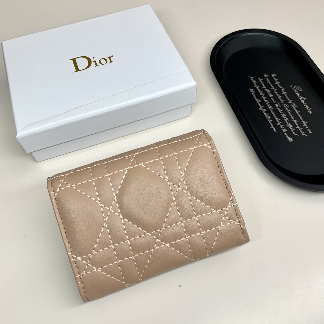 Dior Lady Beige wallet everyday