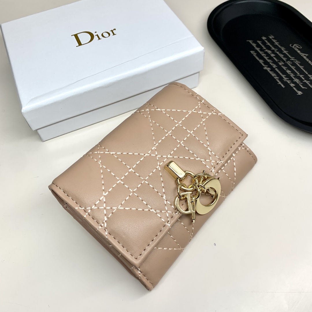 Dior Lady Beige wallet everyday