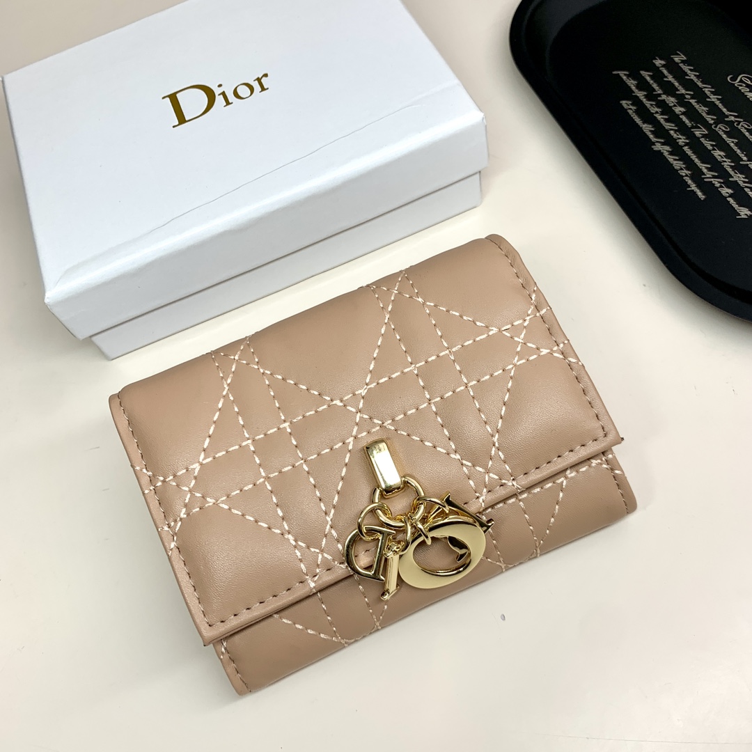 Dior Lady Beige wallet everyday